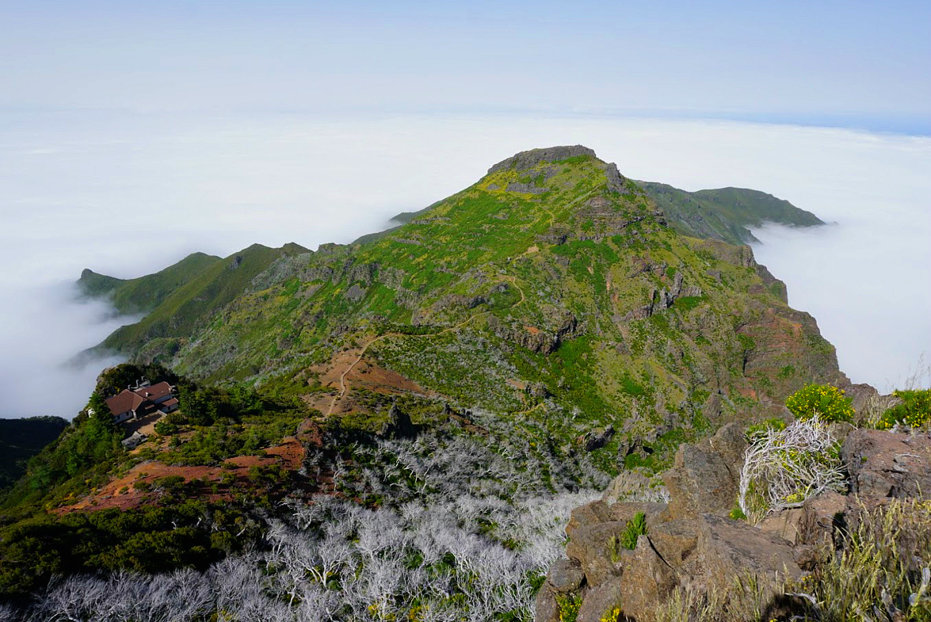 Pico Ruivo Madeira Lush Vegetation Hiking Path Pico Ruivo Madeira Lush Vegetation Hiking Path
