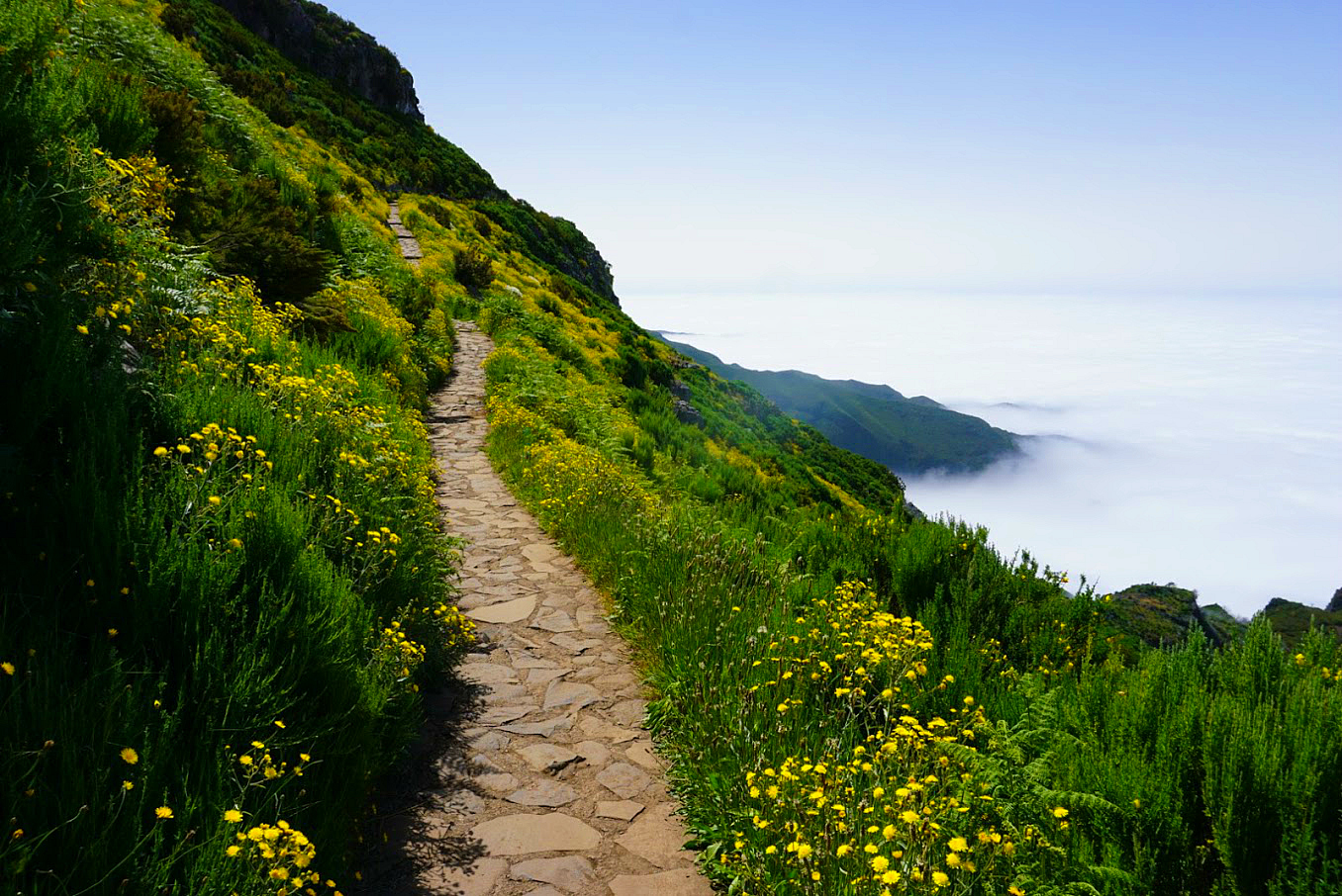 Pico Ruivo Madeira Path Cloud Pico Ruivo Madeira Path Cloud