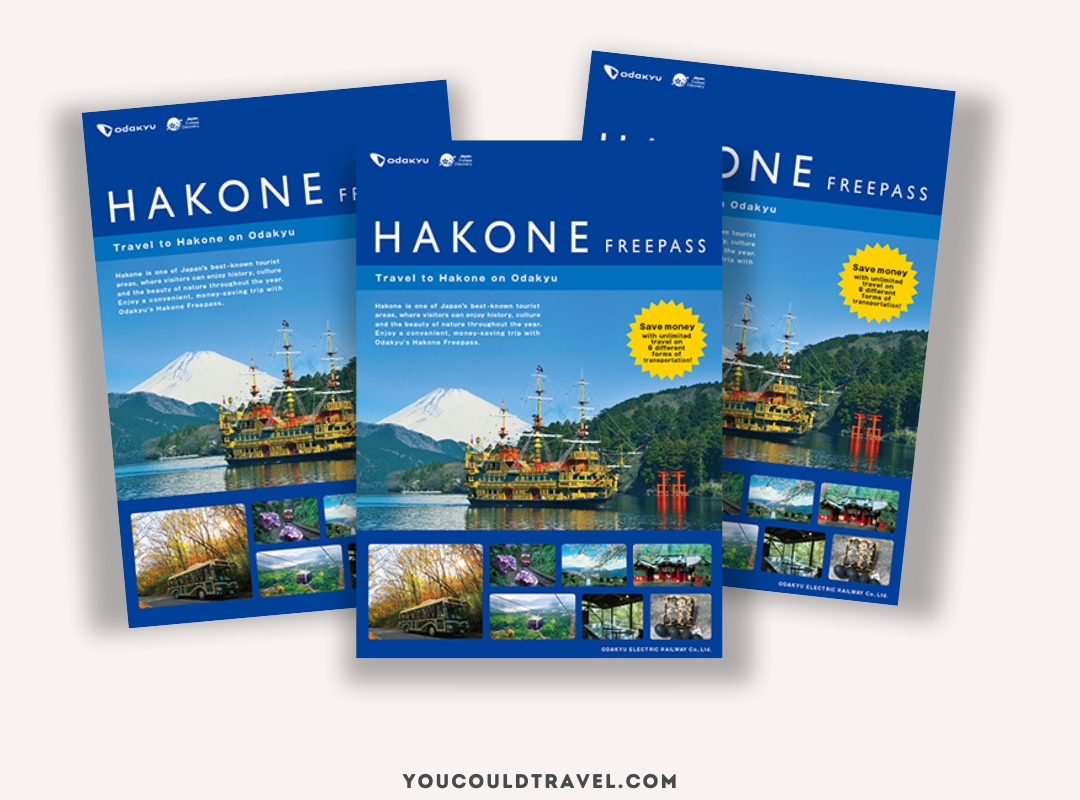 Pictures of the Hakone Free Pass voucher