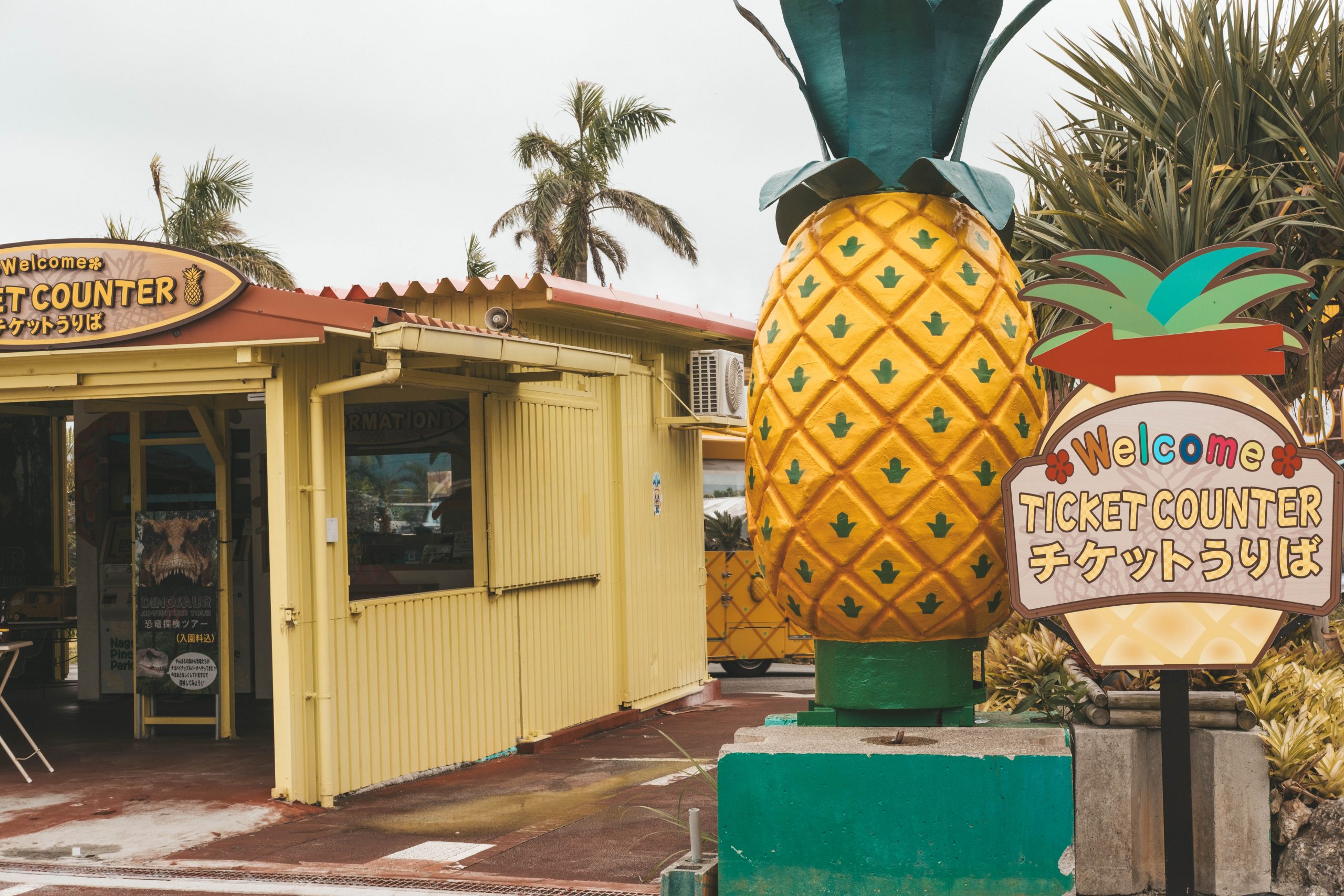 Waiting for the pineapple express at the Nago Pineapple park