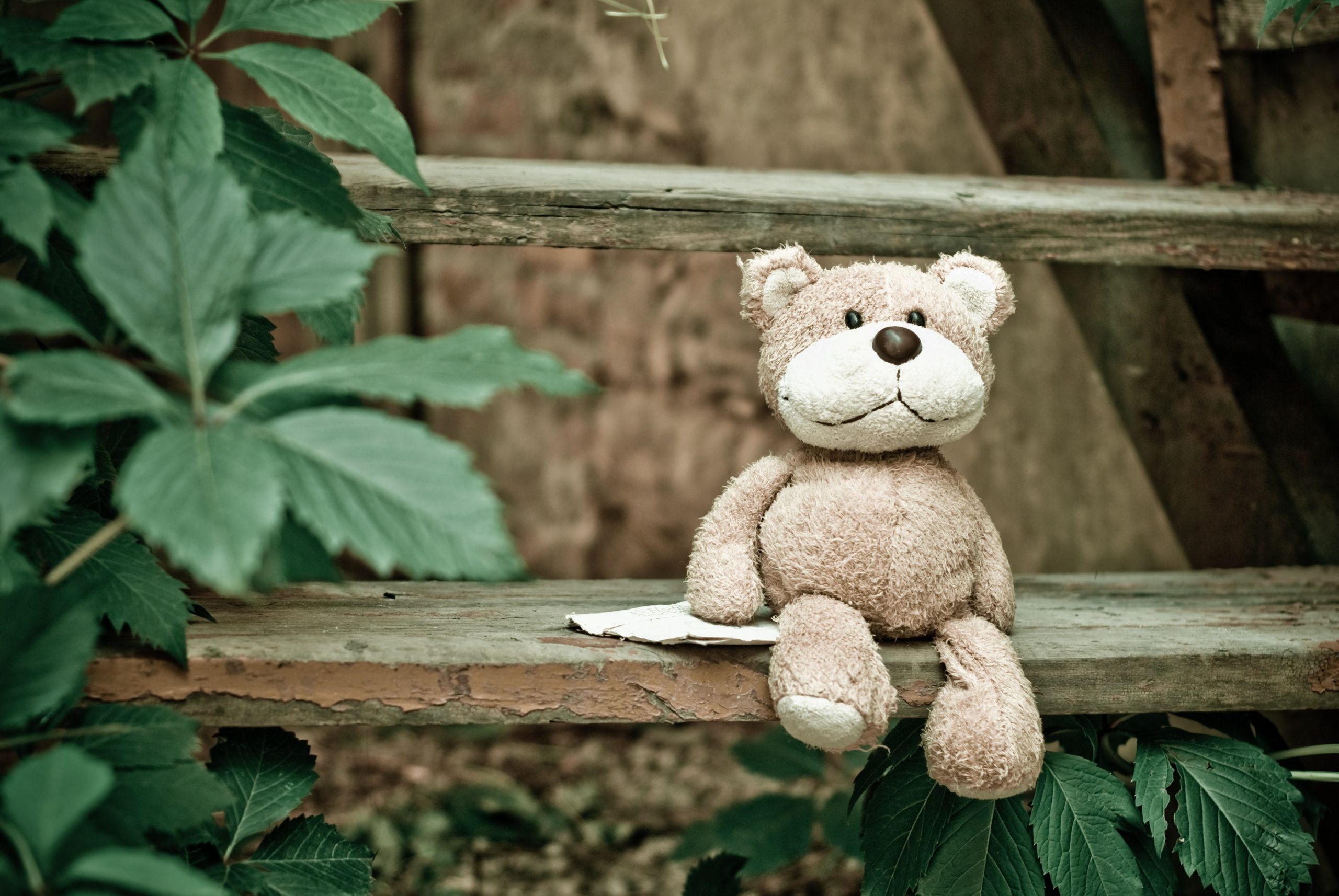 Plush bear toy as souvenir from Berlin