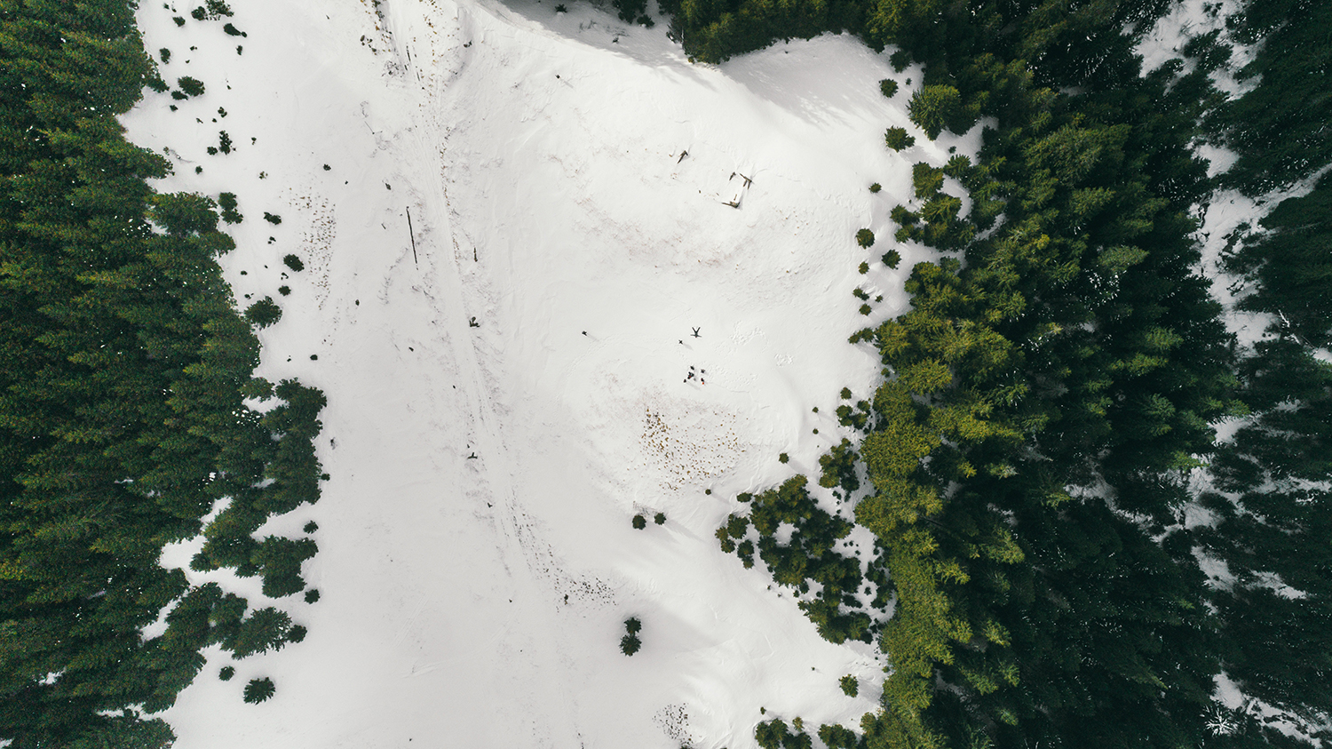 Poiana Brasov with snow and pine trees as seen from above