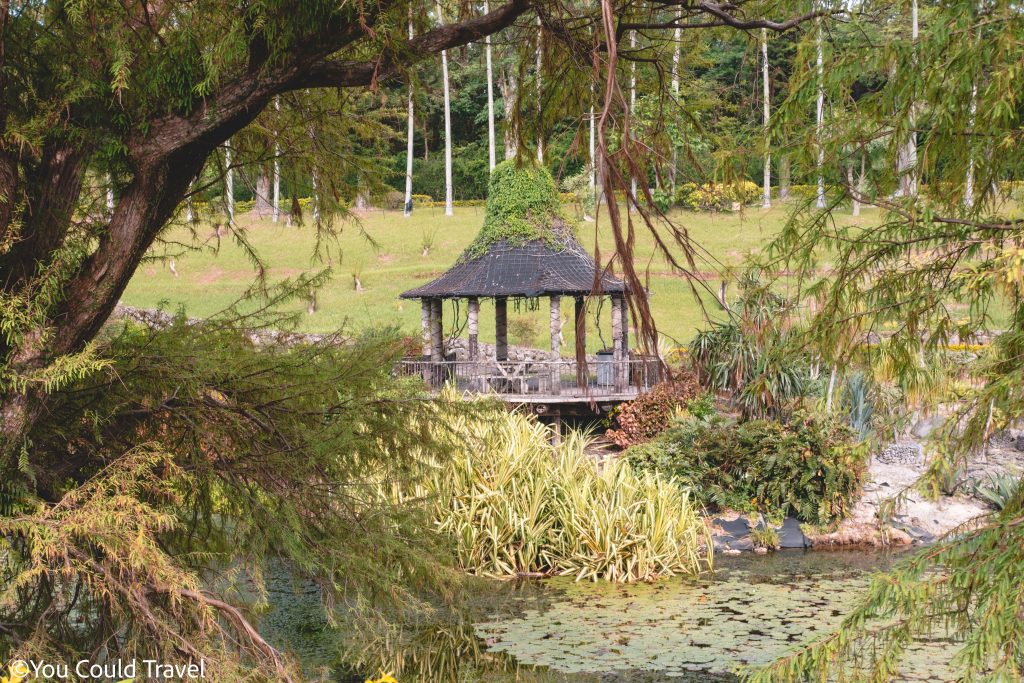 The pond feature in the Water Garden - Okinawa Southeast Botanical Gardens