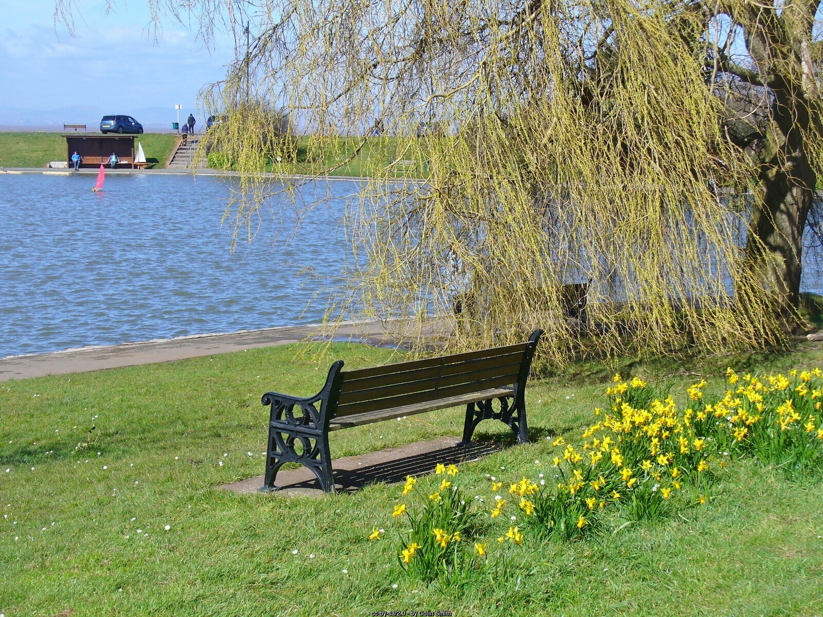 Portishead lake grounds