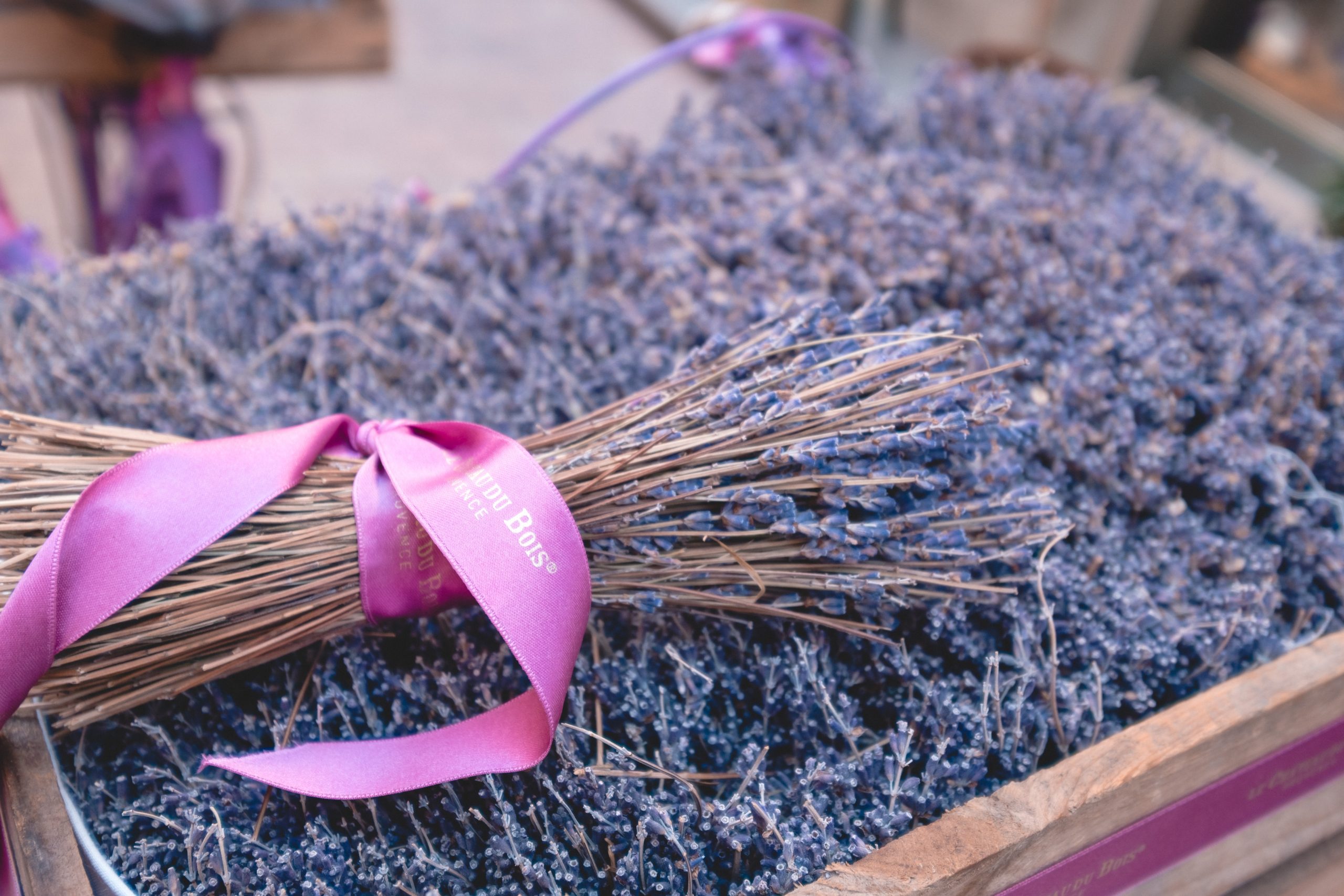 Lavender in Provence in France with Avalon Waterways river cruise