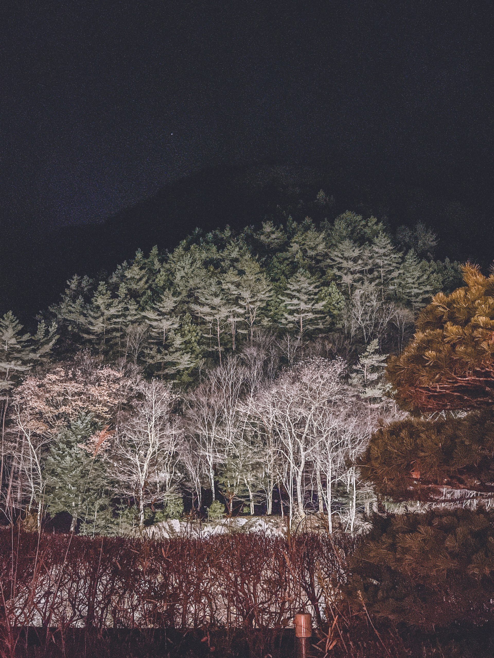 Public onsen view at nighttime