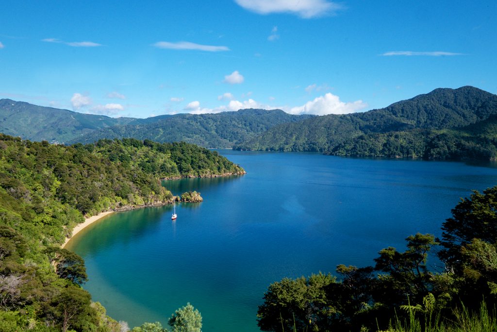 Queen Charlotte Track New Zealand View