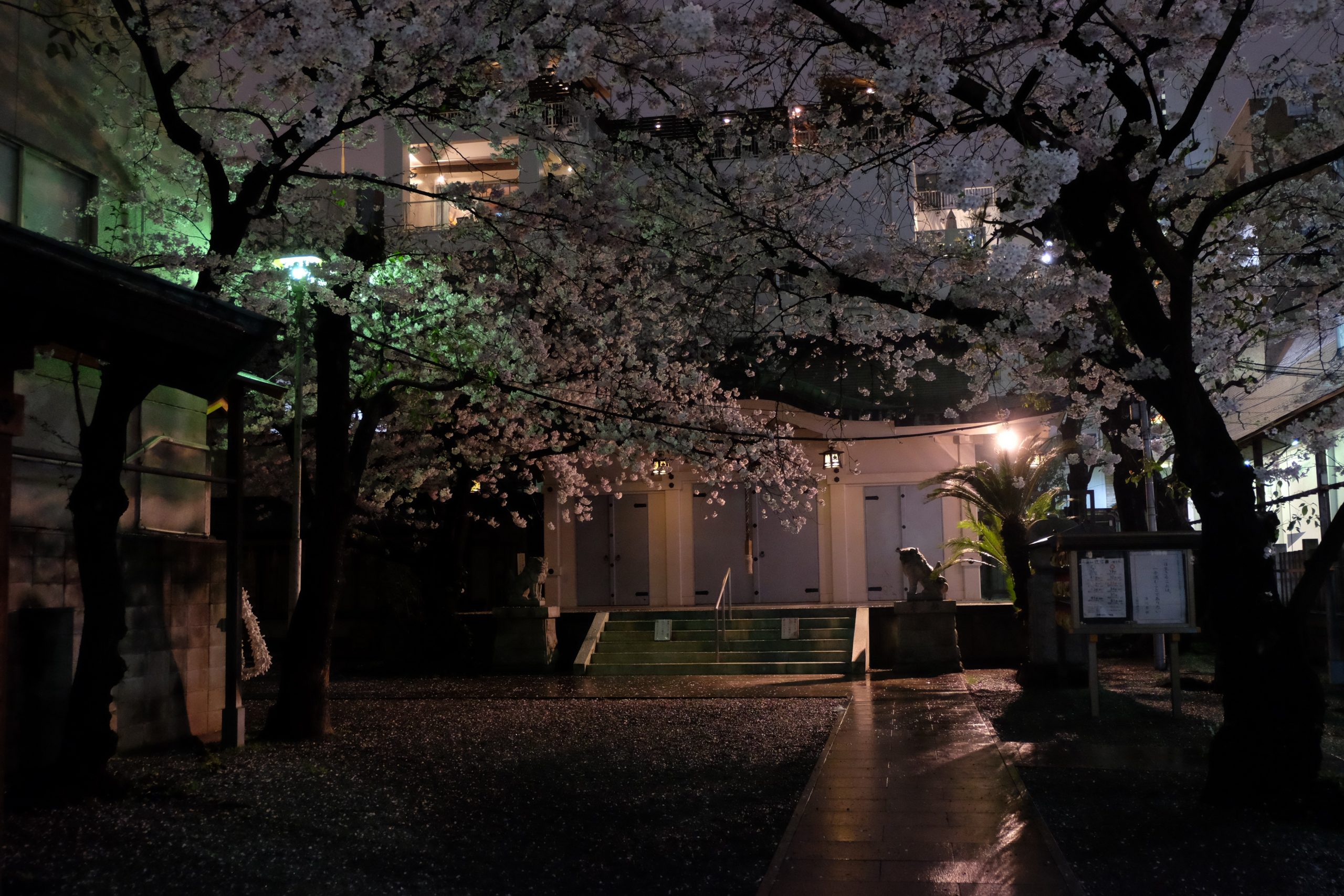 Quiet street in Honmachi at night in Osaka