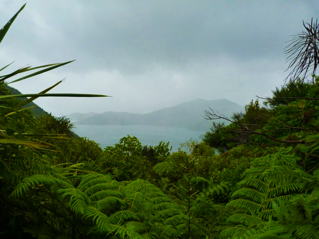 Rain Queen Charlotte Track