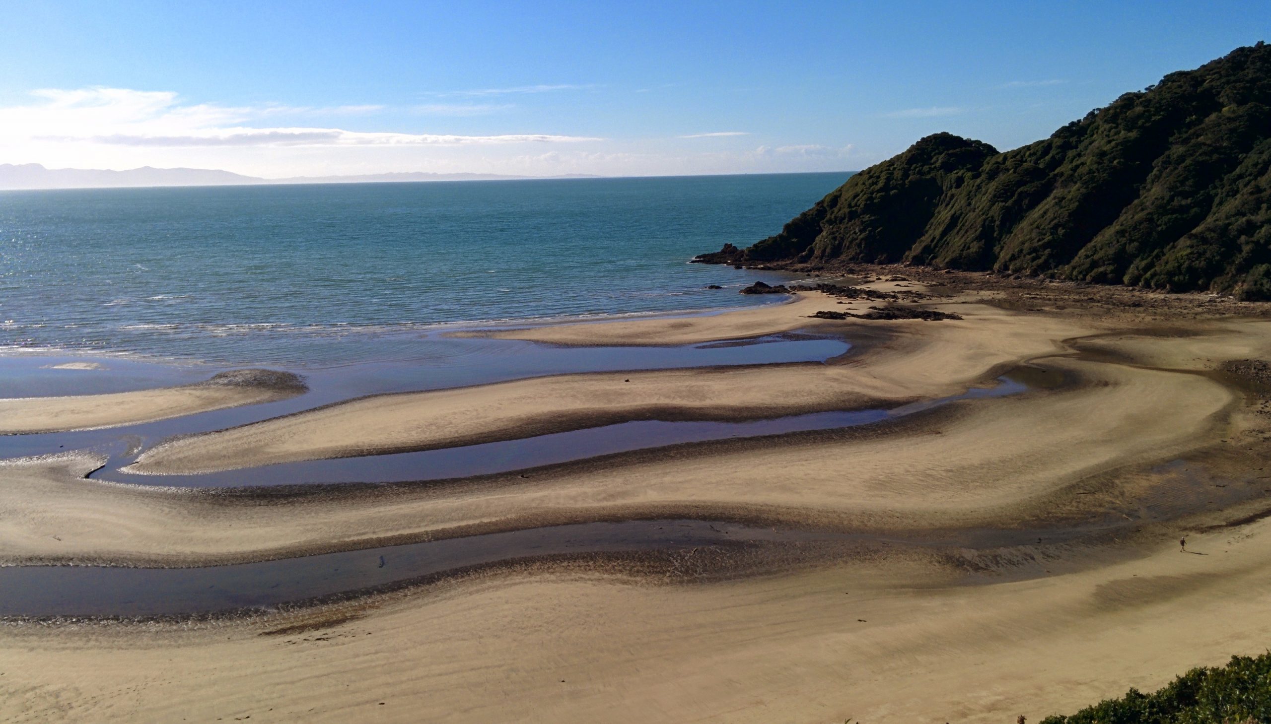 Reflux Coastal Track Beach New Zealand