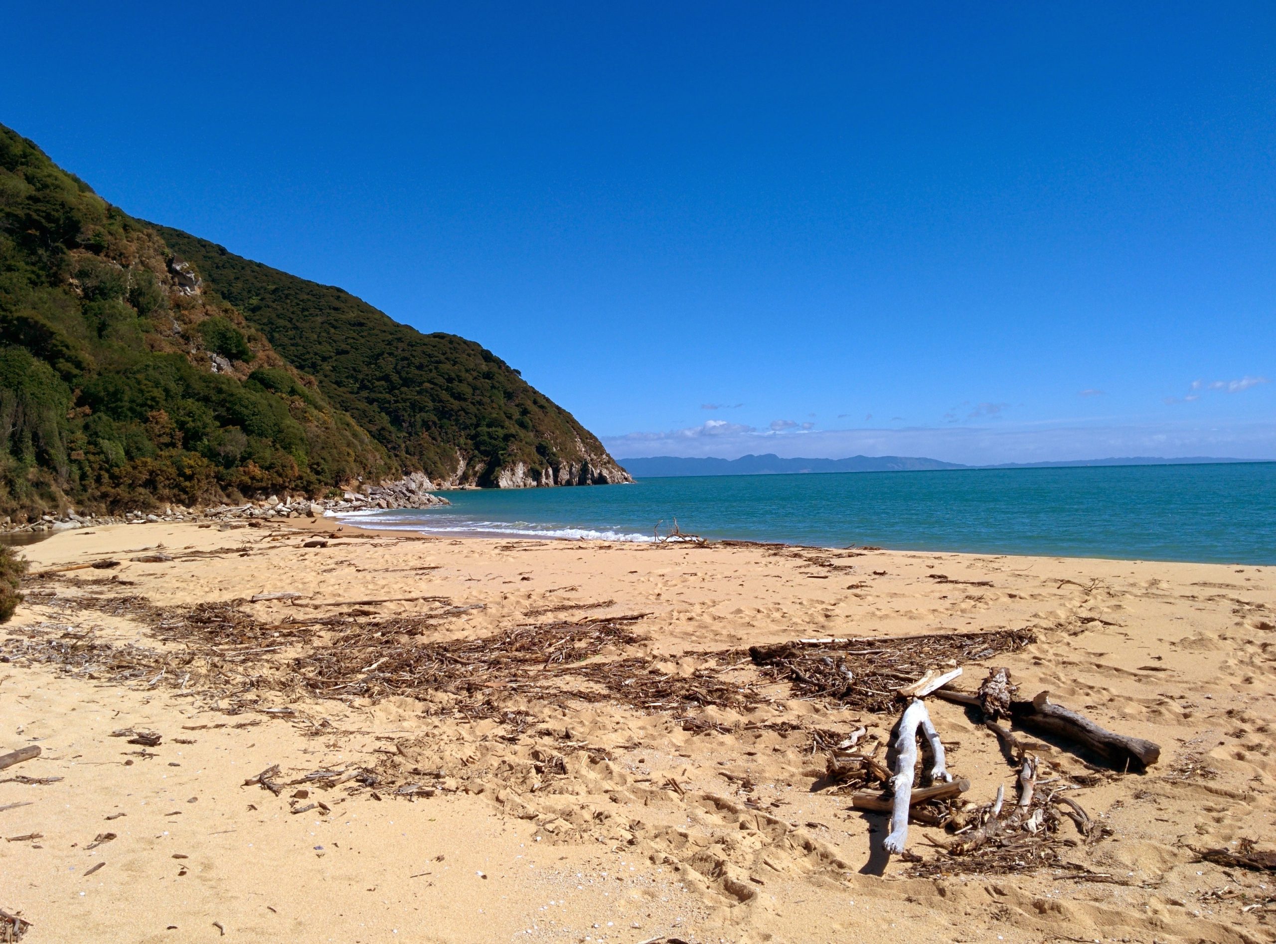 Remote Beach Coastal Track New Zealand