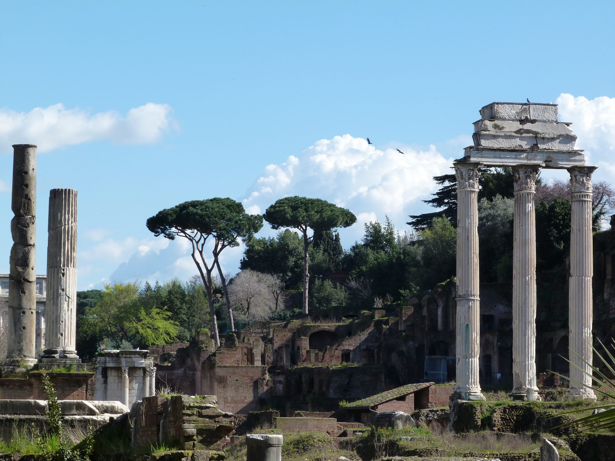 Roman Forum Rome