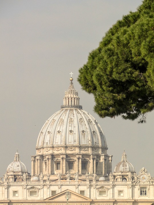 Roof Top St Peter Vatican