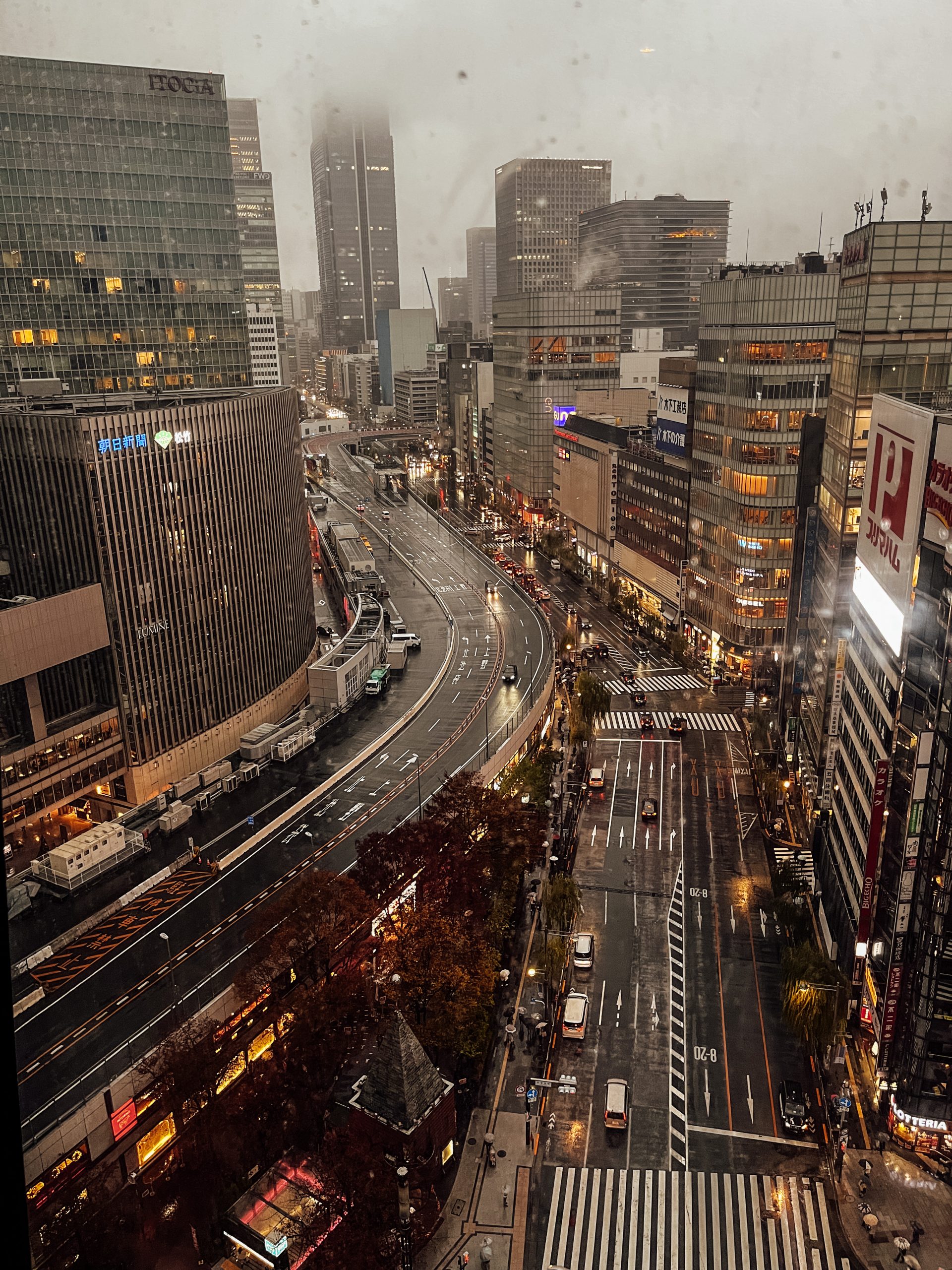 Rainy afternoon - view from Kiriko rooftop garden