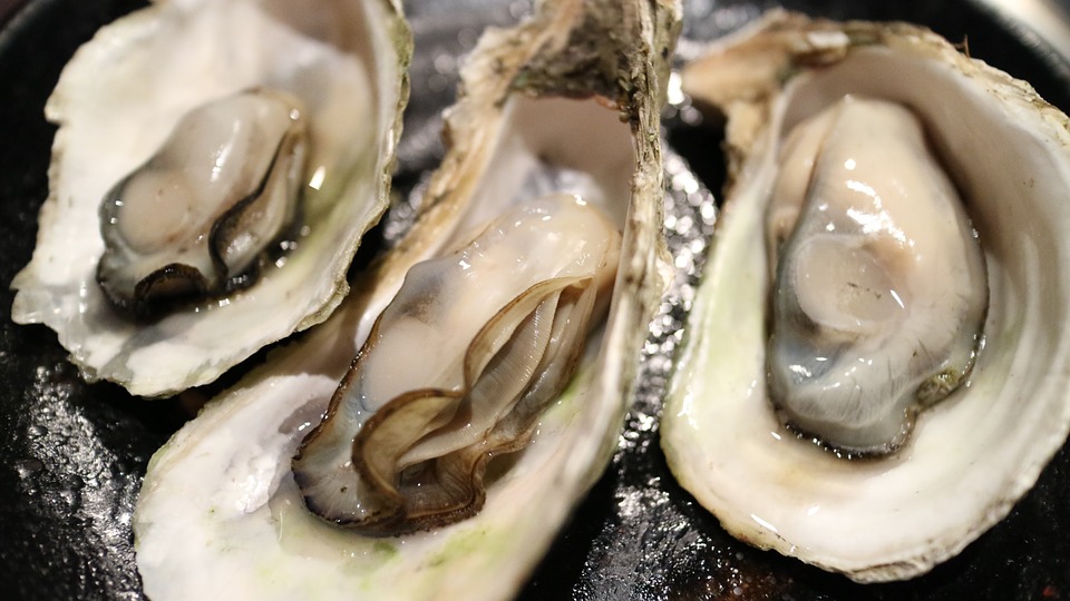 Ramiro Restaurant Lisbon Oysters Ramiro Restaurant Lisbon Oysters
