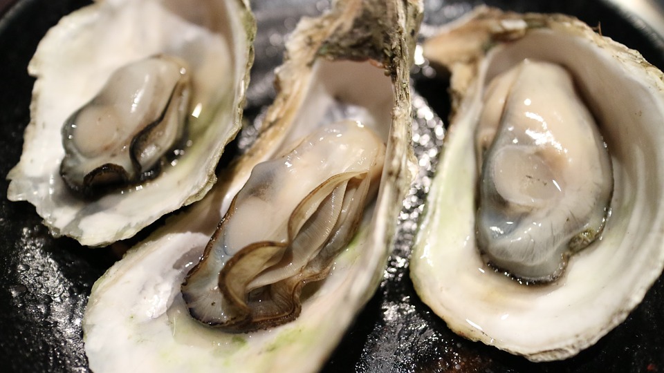 Ramiro Restaurant Lisbon Oysters