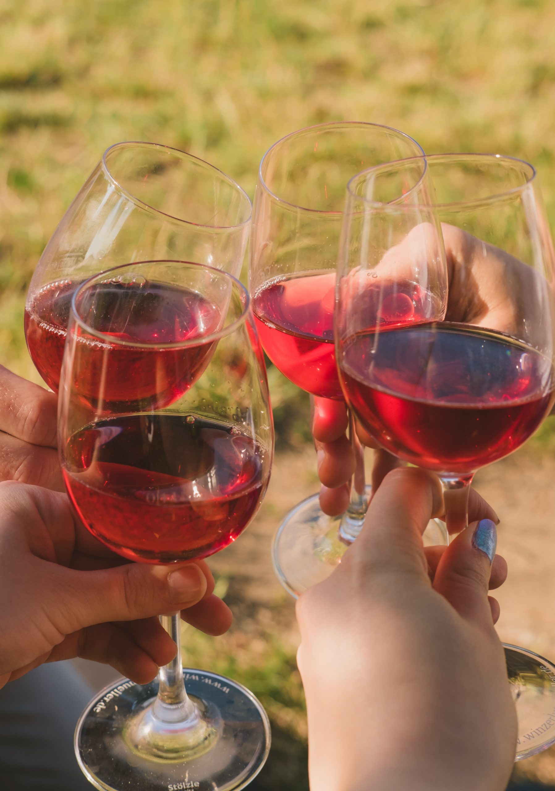 Red wine with friends in Dresden - the capital of Saxony Red wine with friends in Dresden - the capital of Saxony