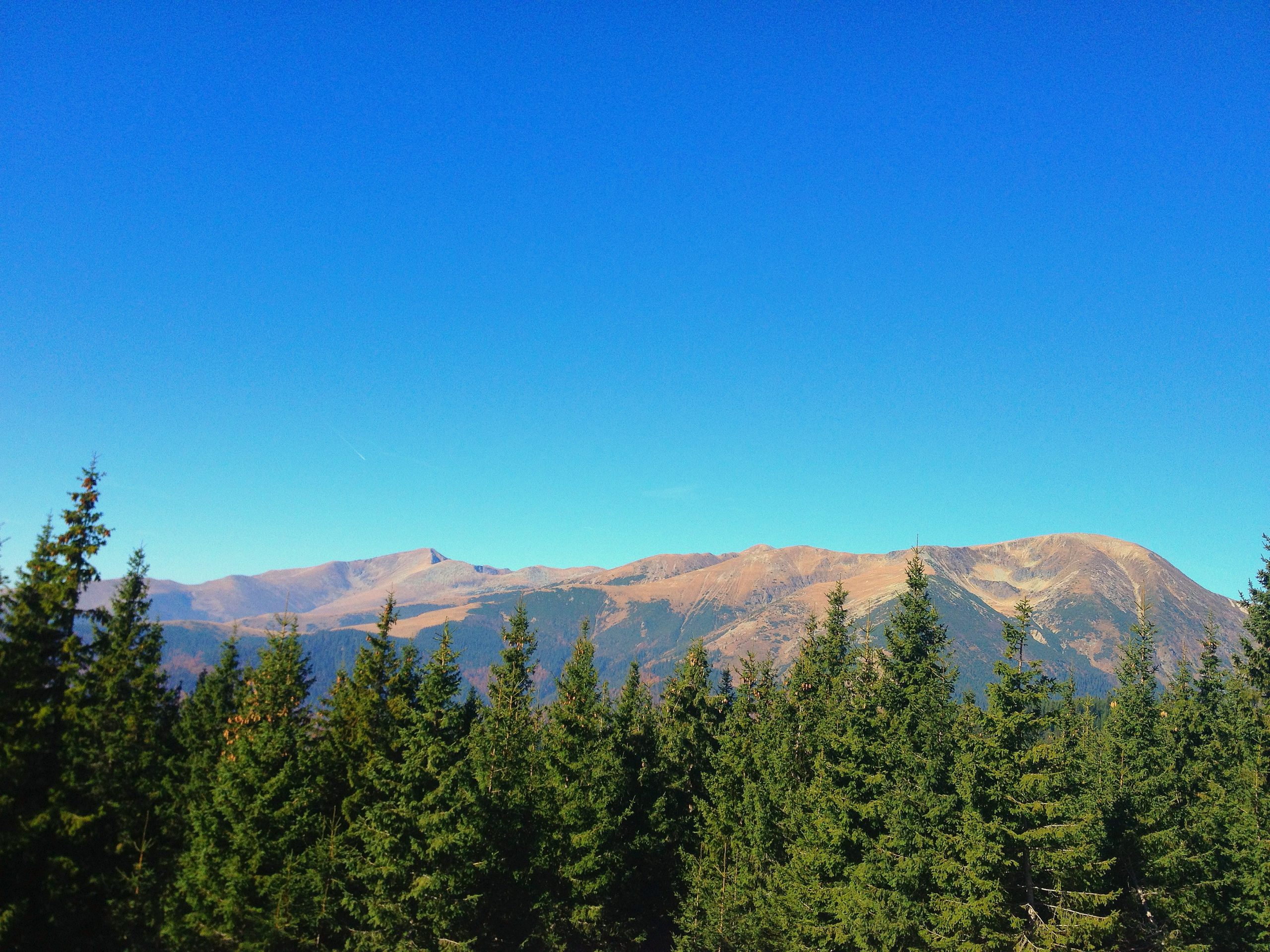 Restaurant View Transalpina Romania