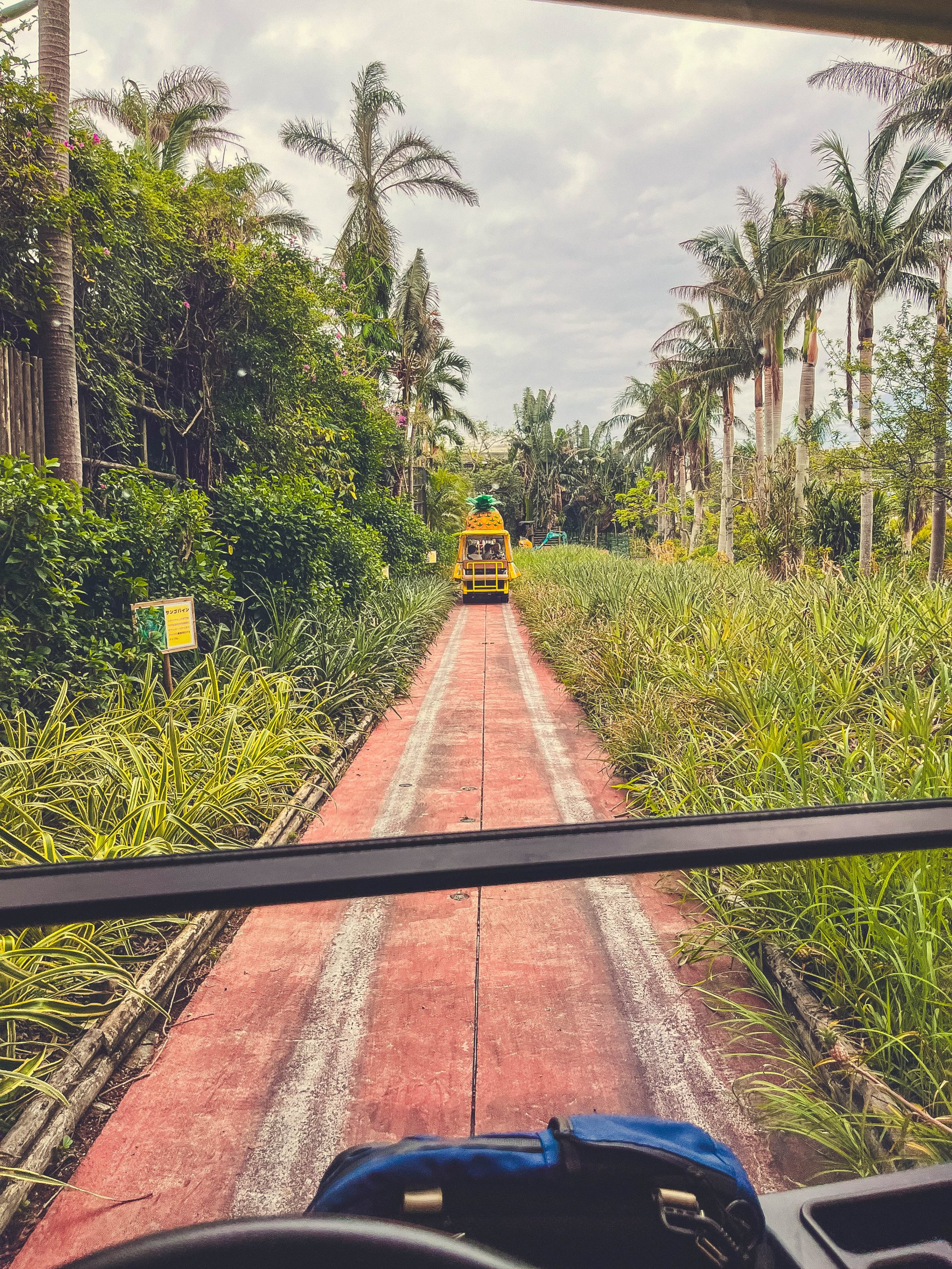 Riding the self driving pineapple cart