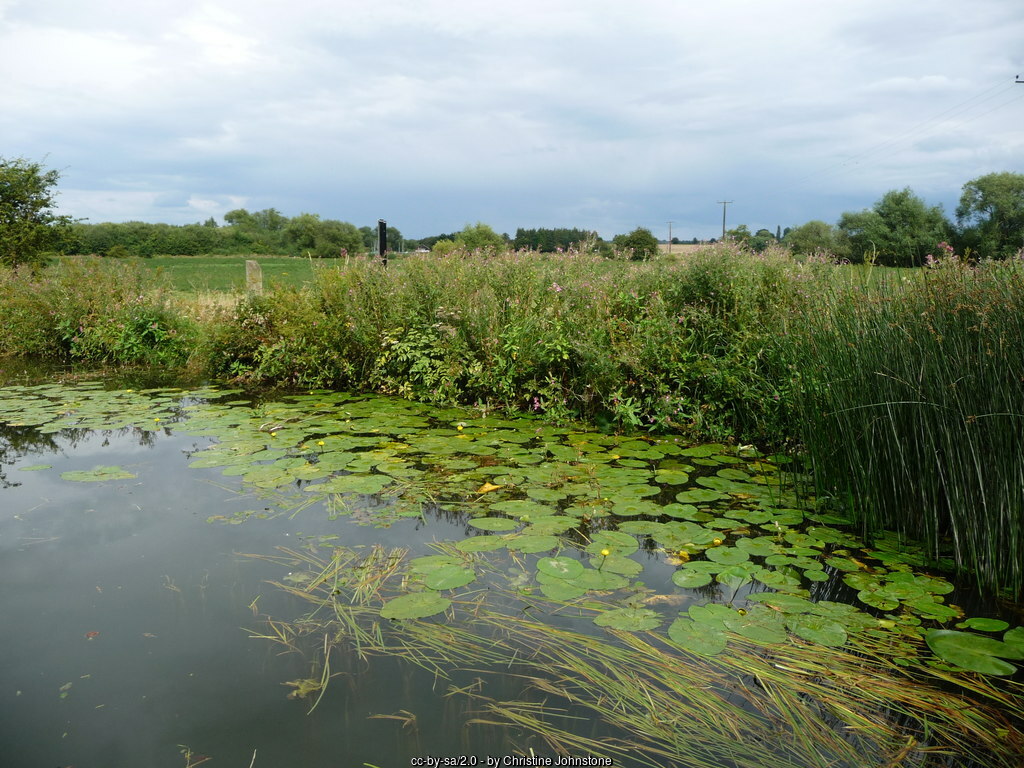 Ripon Canal - walk along the canal