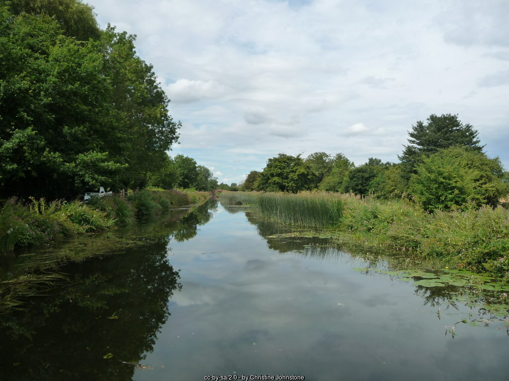 Ripon City Wetlands Ripon City Wetlands