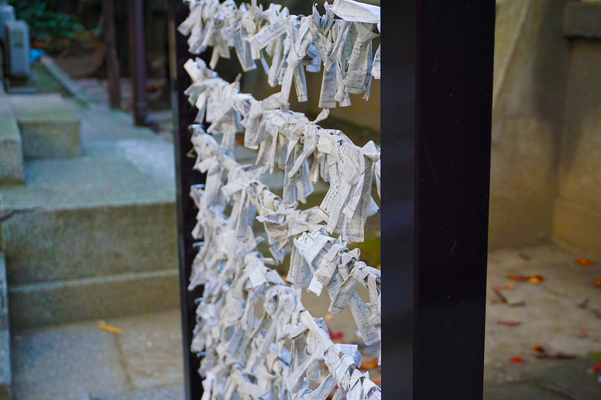 Lots of omikuji wrapped around a "spiritual rack" so the gods can take care of them