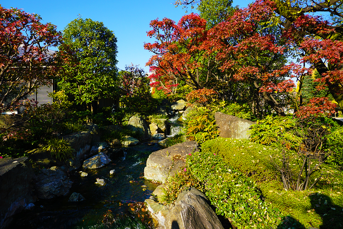 Beautiful landscaped gardens with a small river and koi fish at Semnsoji
