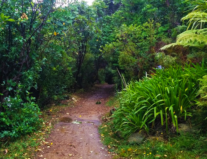 Ship Cove Queen Charlotte Track