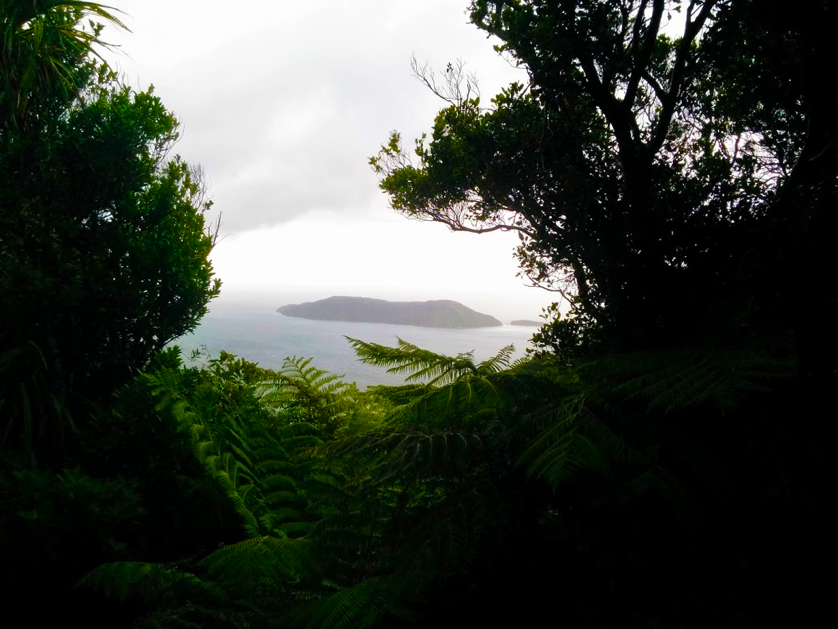 Sounds Fern View Queen Charlotte Track