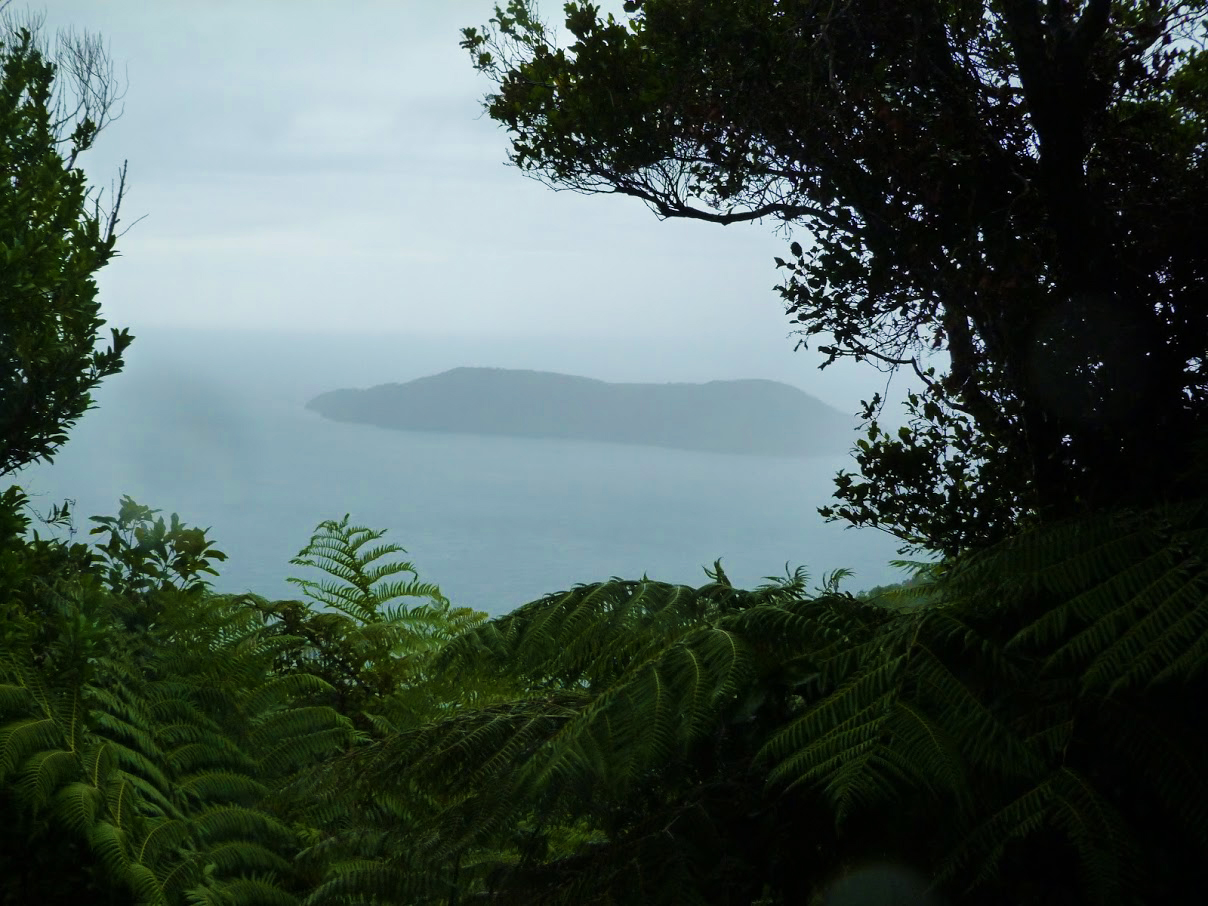 Sounds Rain Queen Charlotte Track