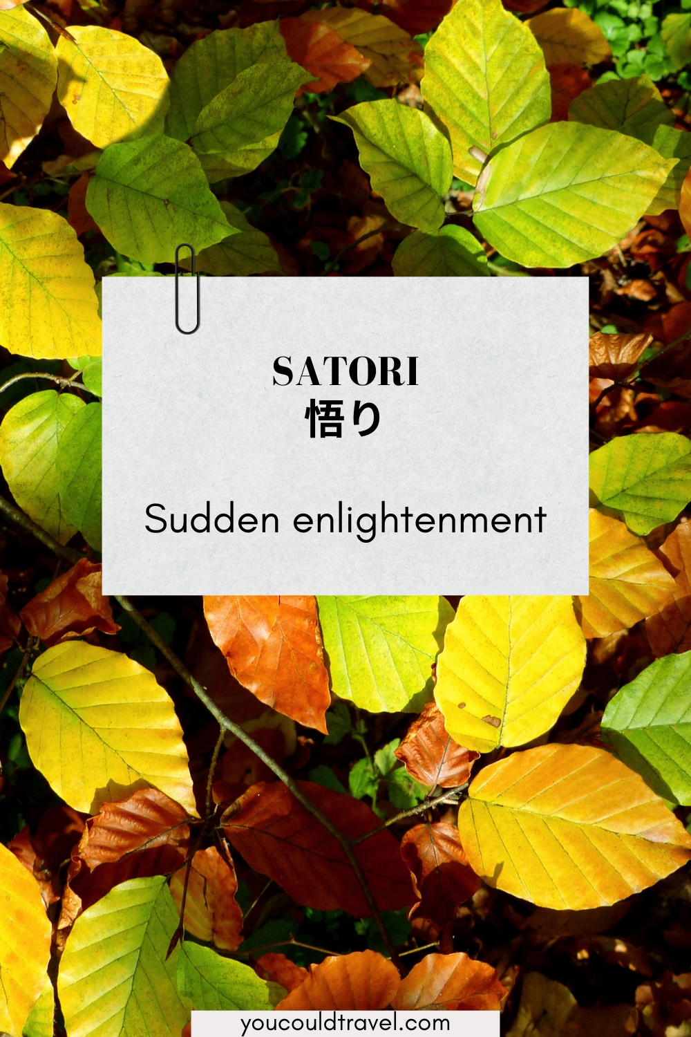 Satori - the sudden enlightenment 