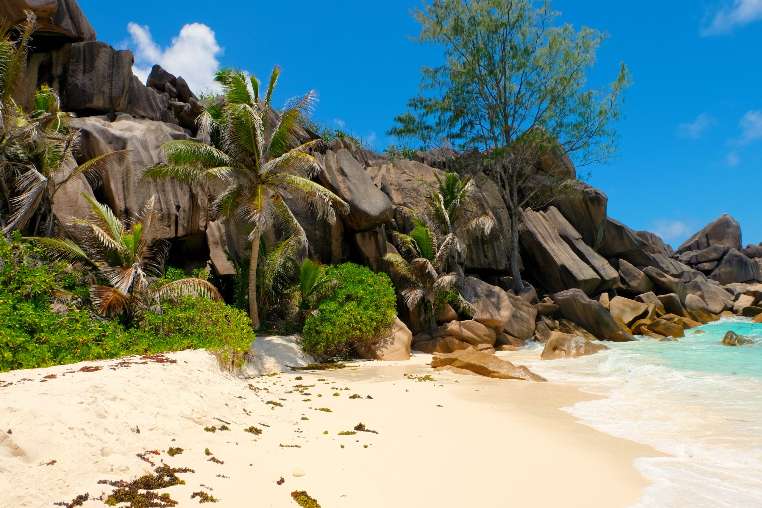 Secluded Beach La Digue