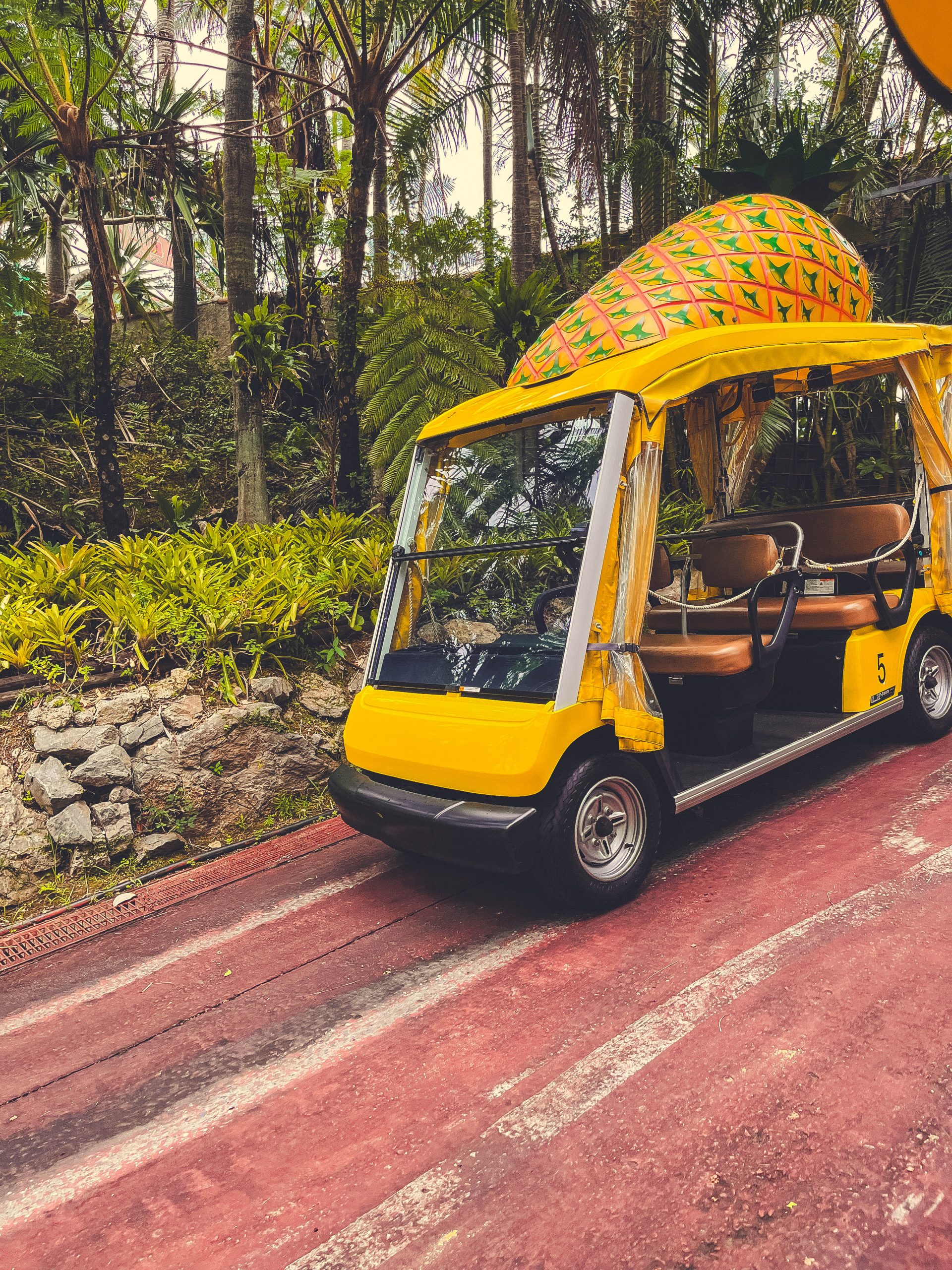 Self driving pineapple shaped cart Nago Pineapple Park