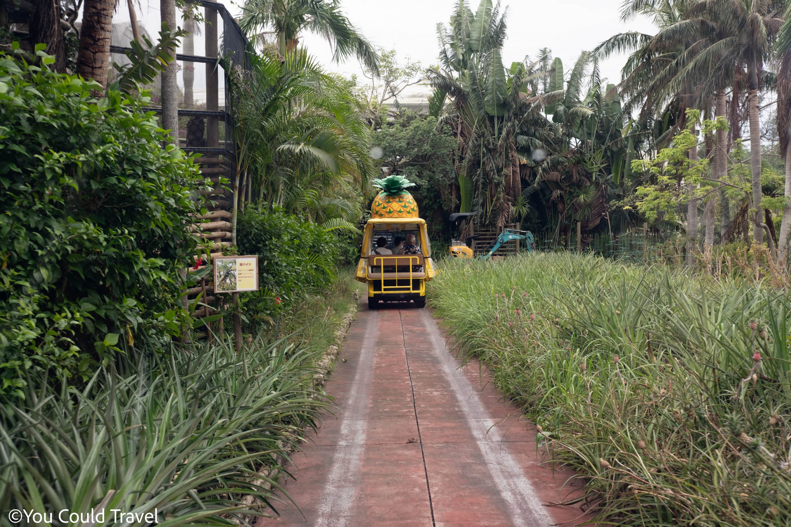 Self driving cart at Nago Pineapple Park Okinawa