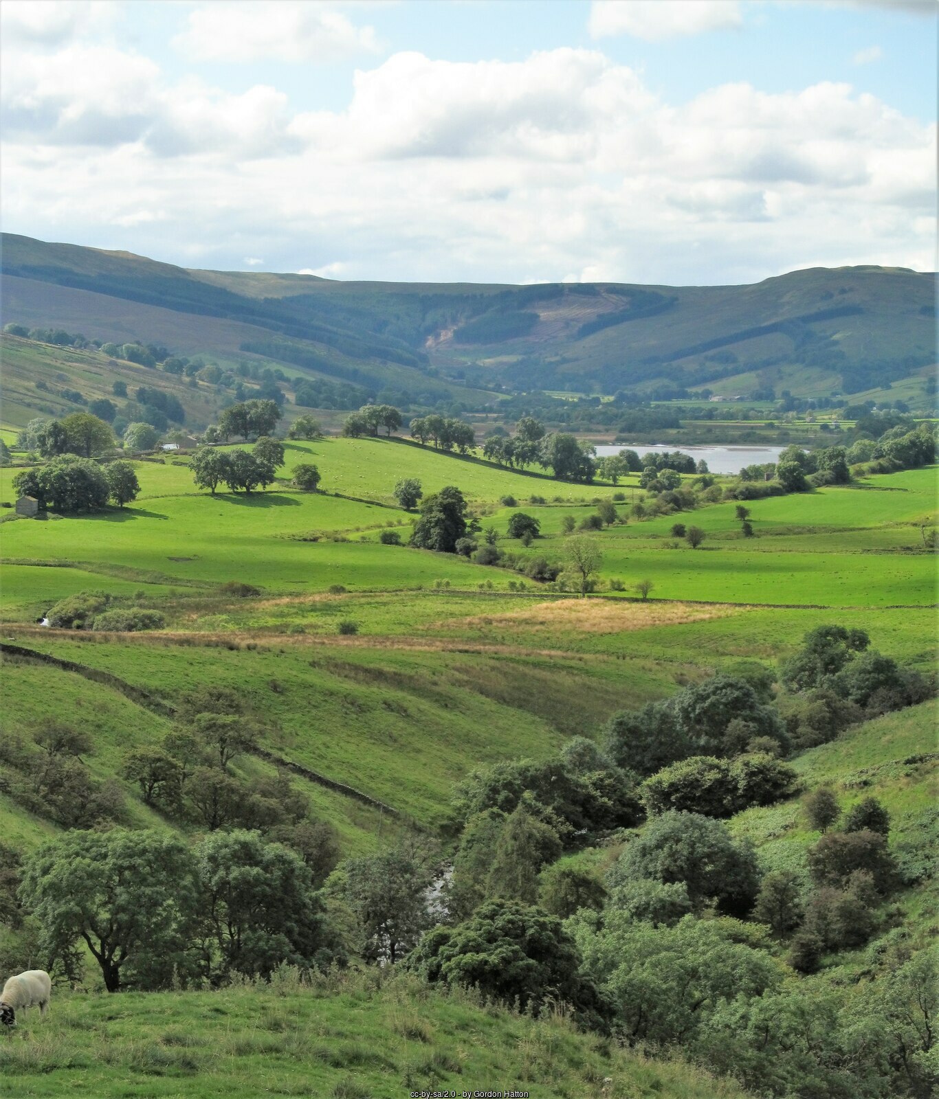 Beautiful Semerwater in the countryside - Things to do in Hawes