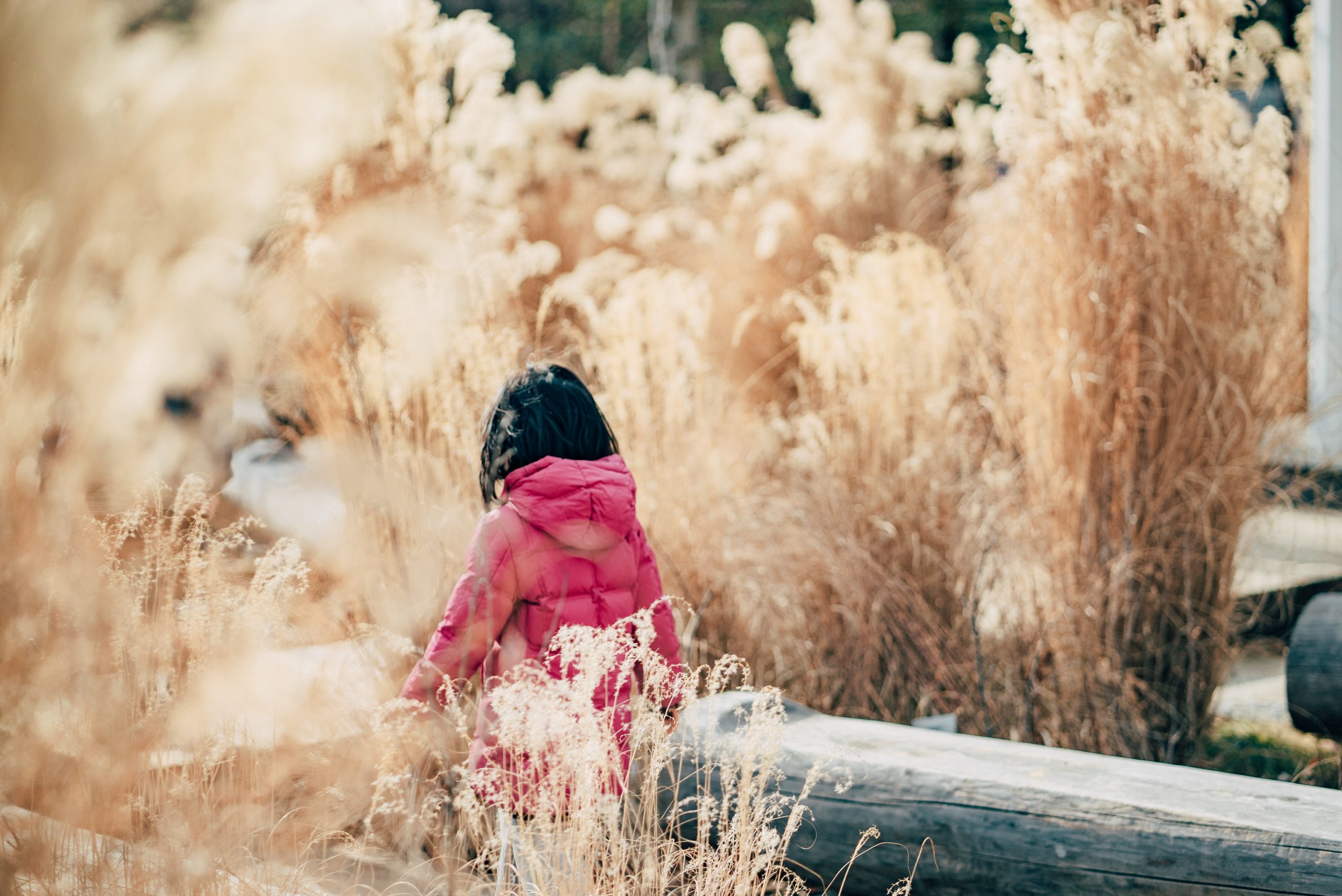 Visiting Seoul Forest with locals