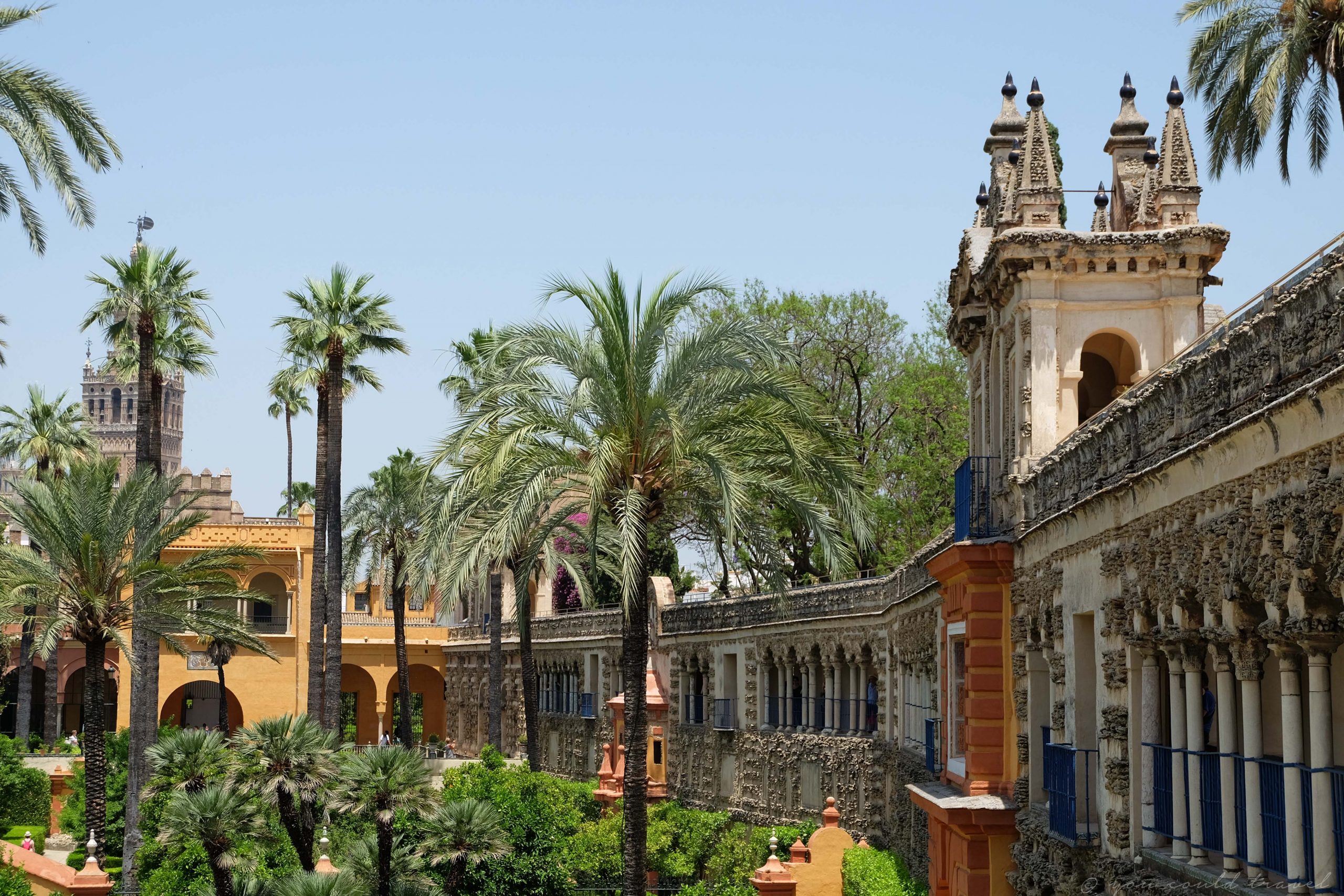 Palm trees and beautiful plants in the Alcazar of Seville