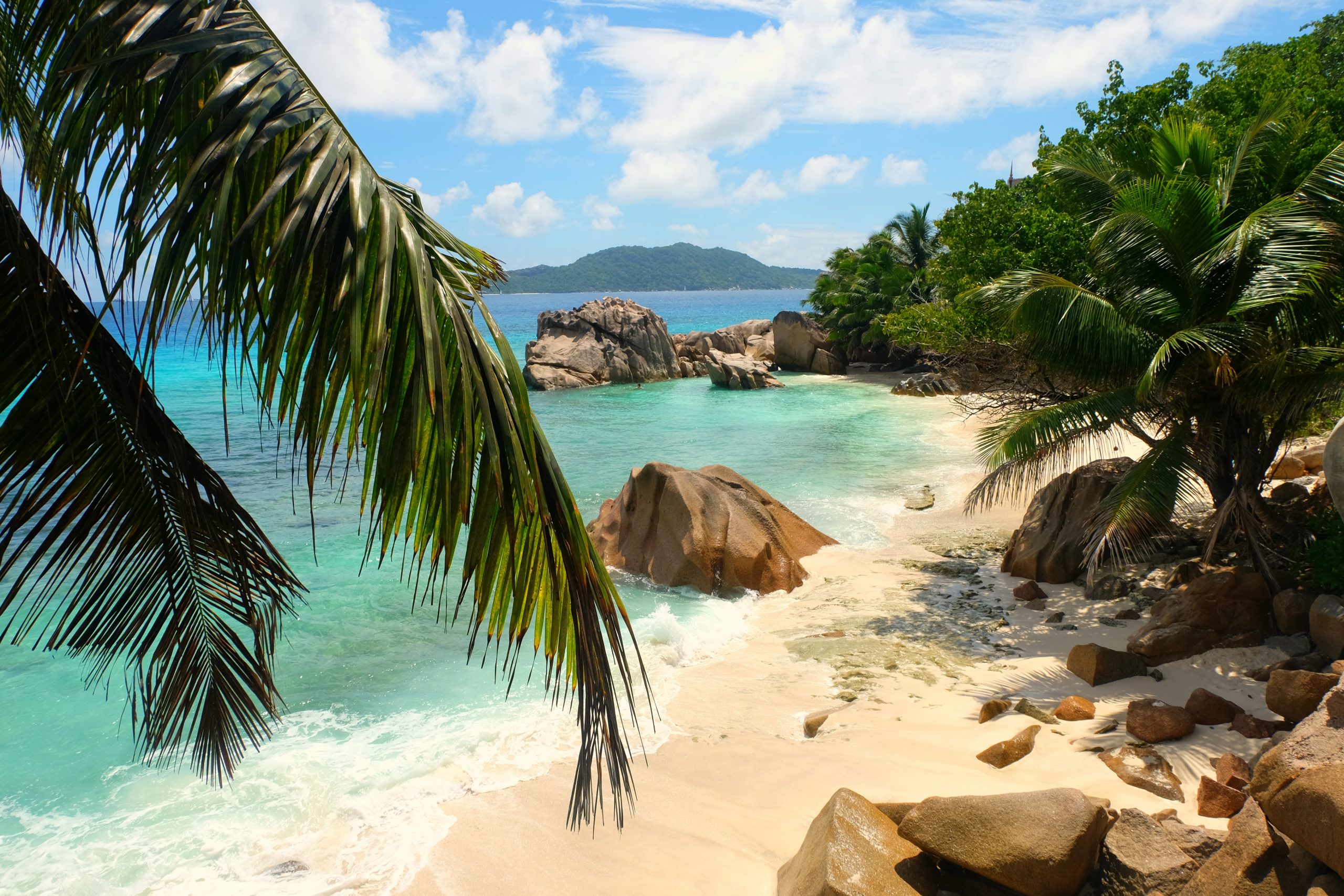 Seychelles Views Ocean Beach Palm