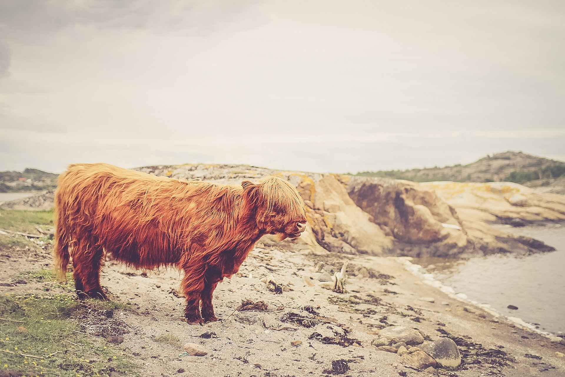 Shetland in Scotland