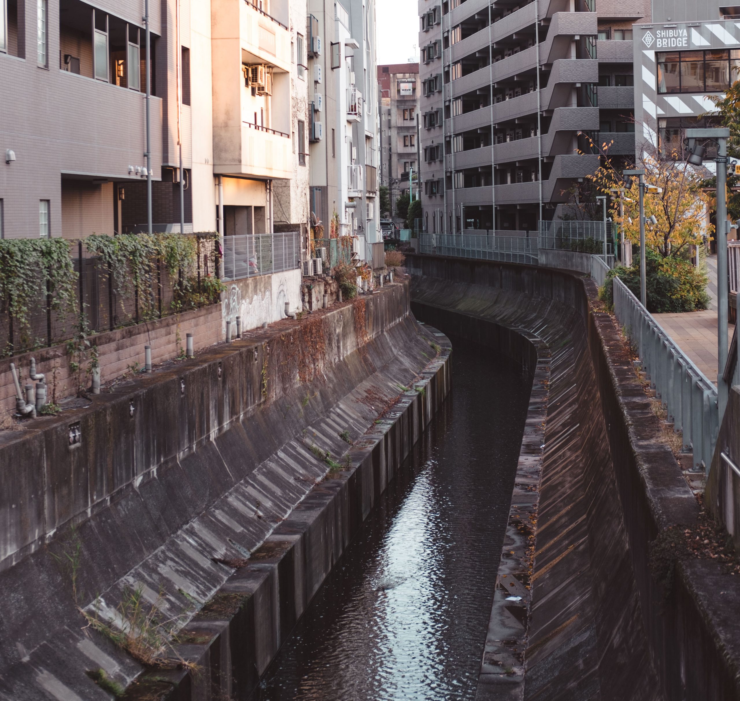 Shibuya stream in Tokyo