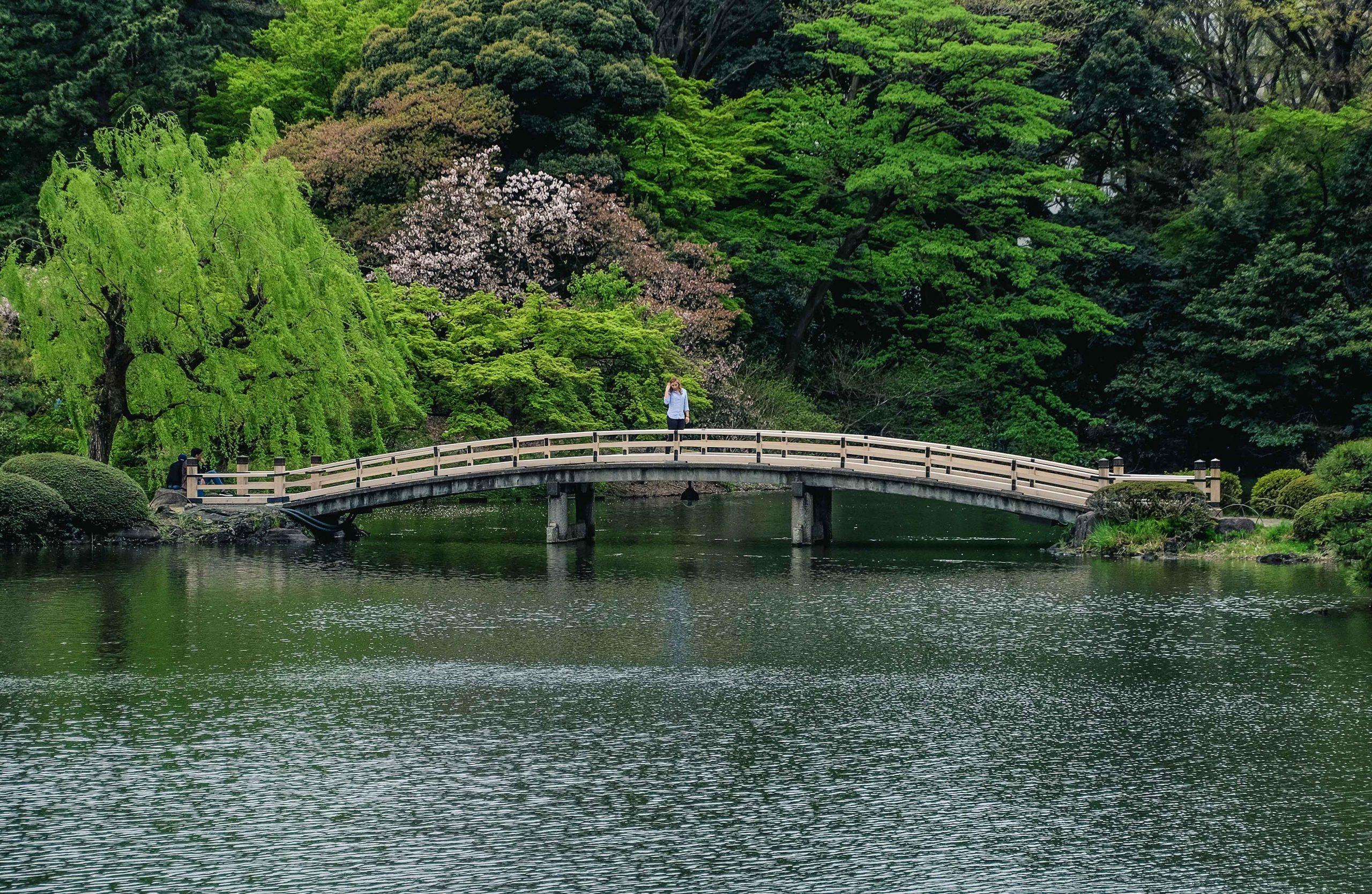 Cory from You Could Travel in Shinjuku Gyeon