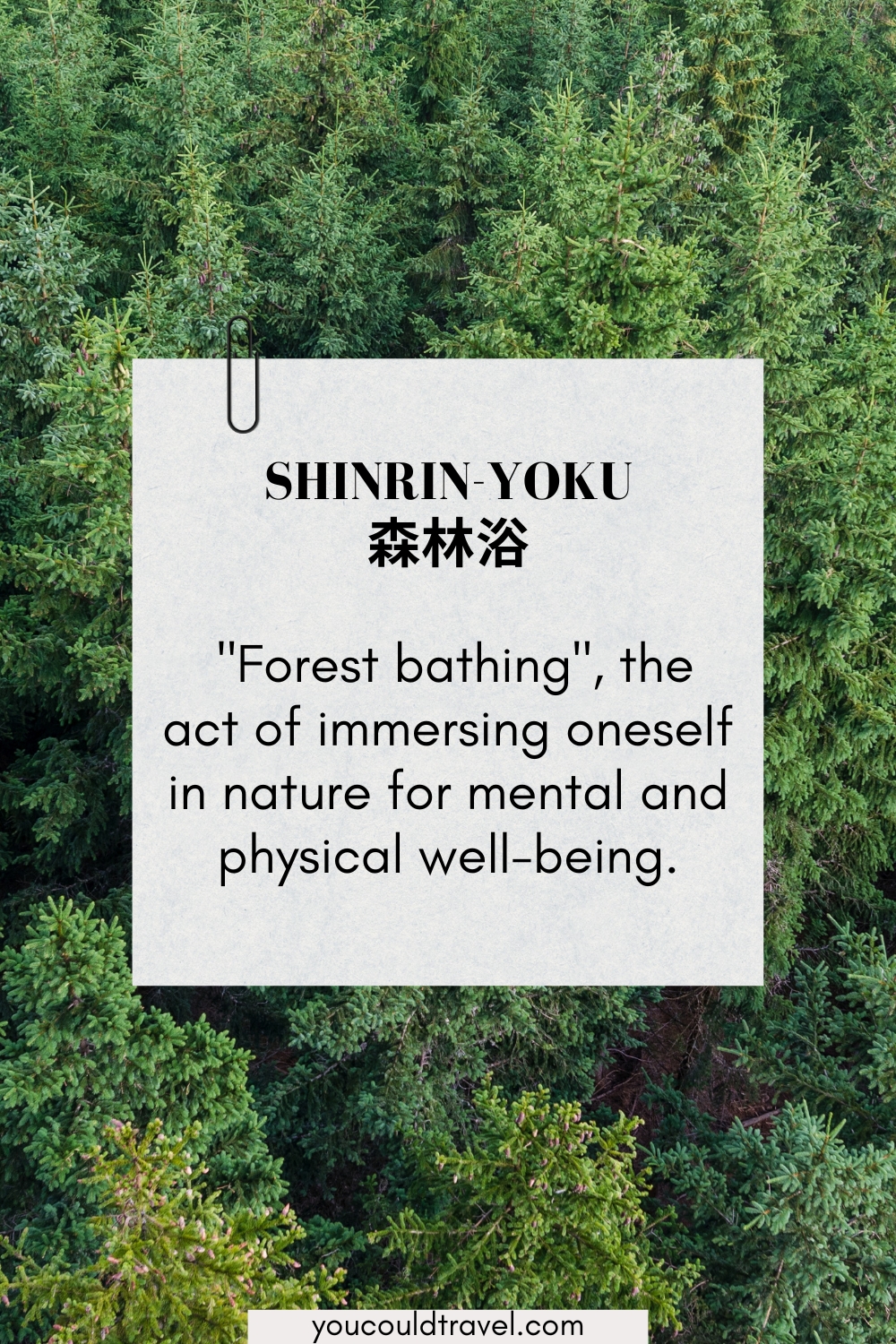 Shinrin-yoku - forest bathing