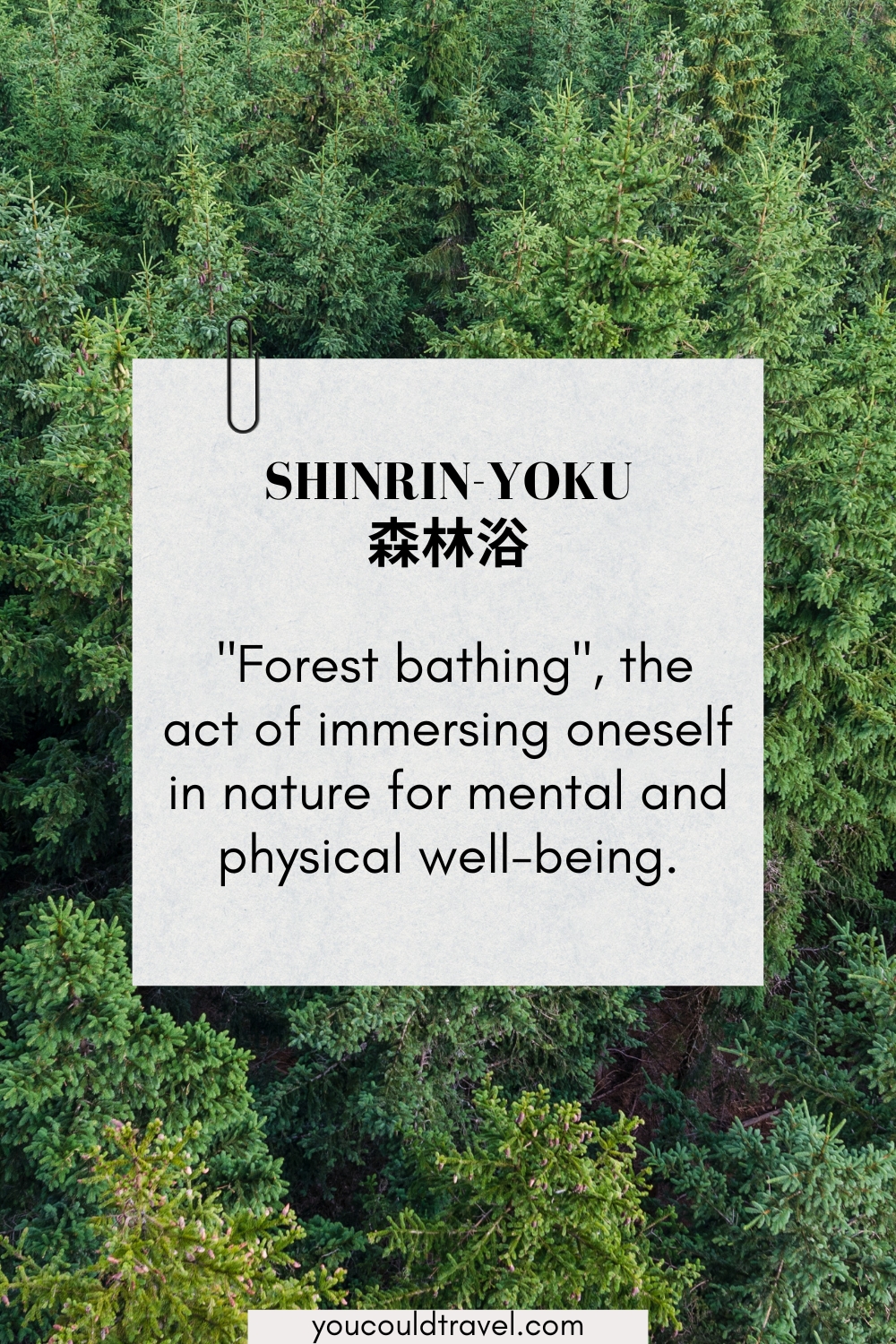 Shinrin-yoku - forest bathing Shinrin-yoku - forest bathing