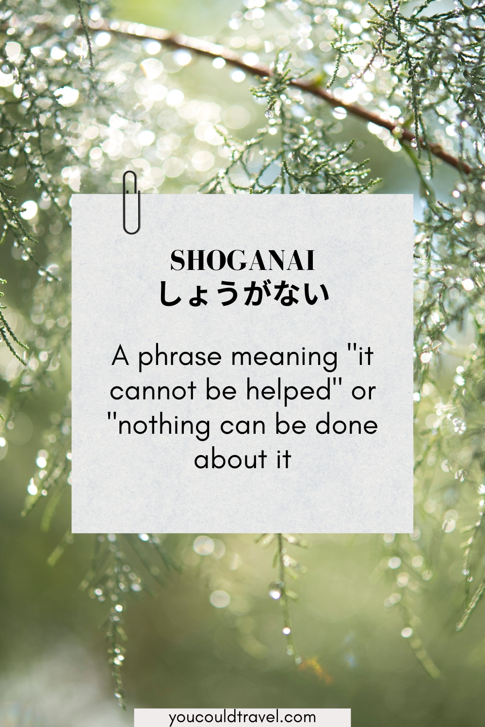 Shoganai - the Japanese word for it cannot be helped Shoganai - the Japanese word for it cannot be helped