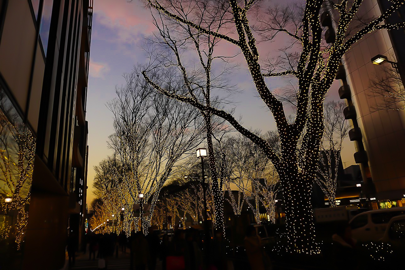 Shopping Ginza Nightlife