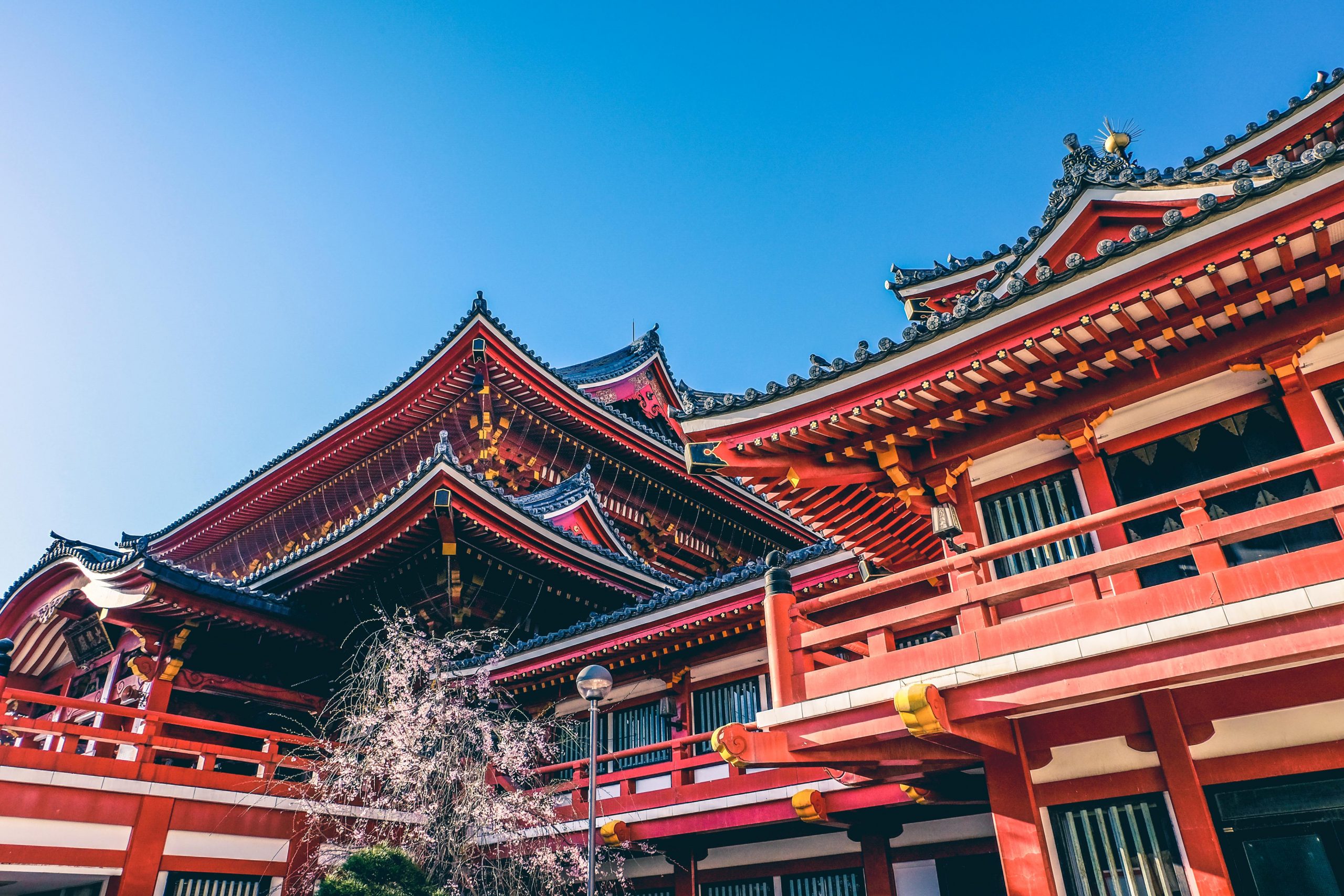Beautiful Japanese Shrine in Nagoya