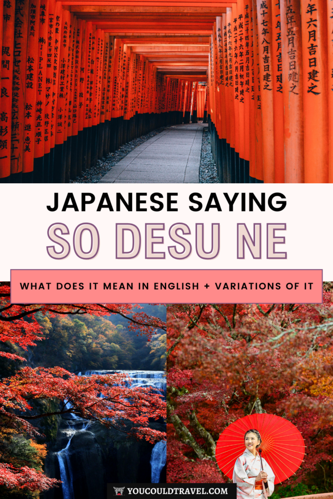 So desu ne and what it measn in English