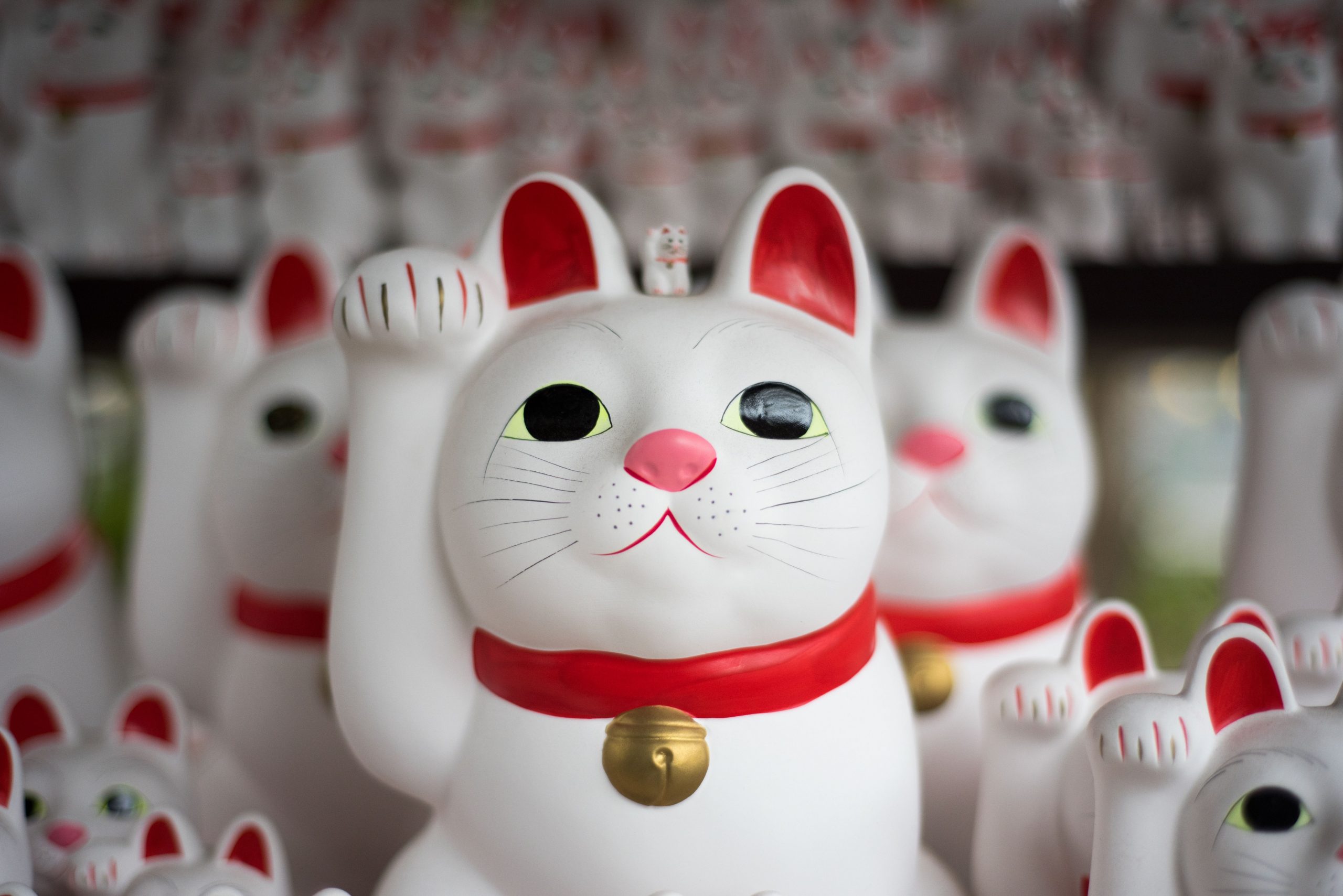 The lucky cat is one of the best souvenirs from Japan The lucky cat is one of the best souvenirs from Japan