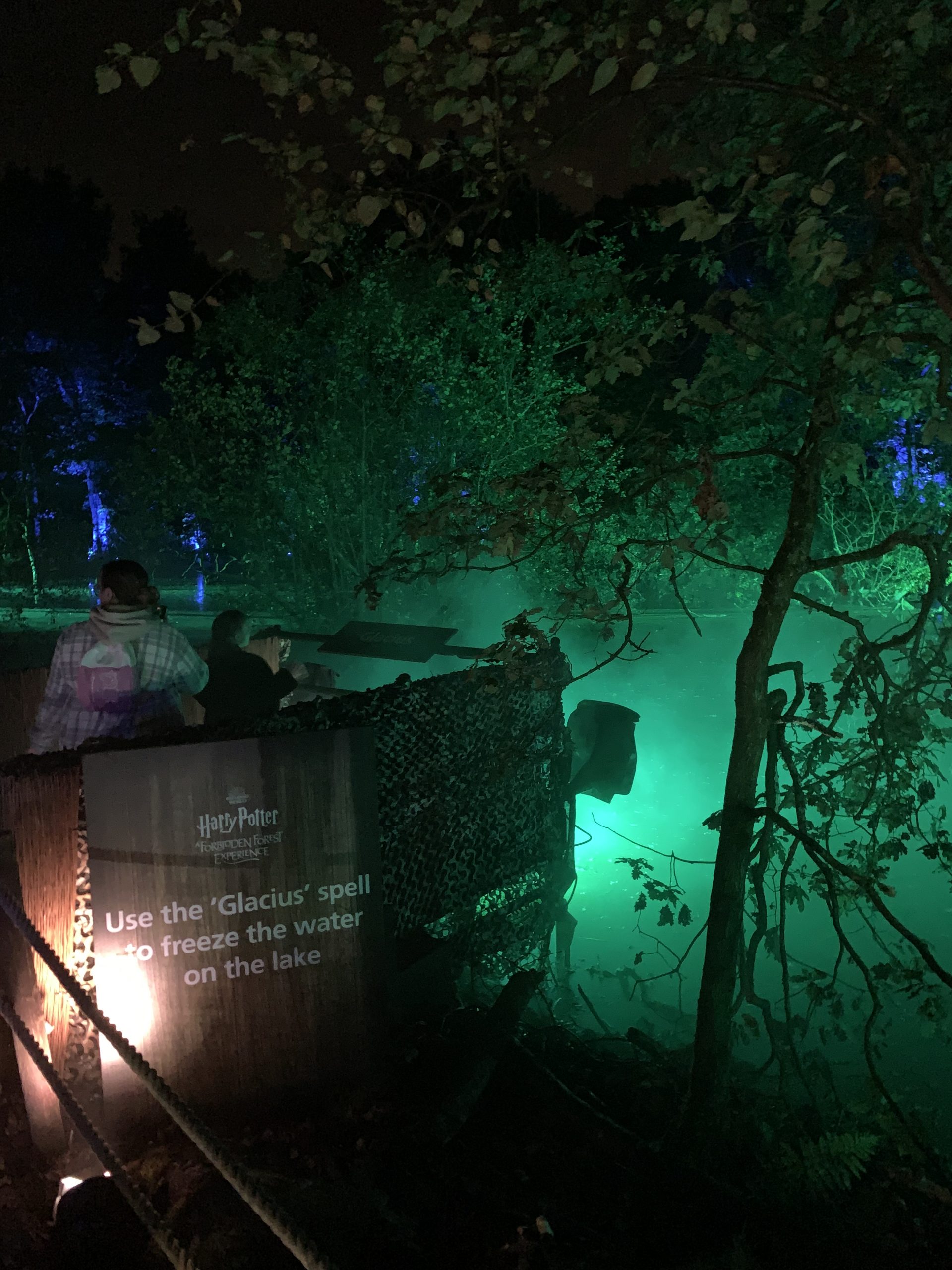 Cast a spell on a lake at the Harry Potter Forbidden Forest experience