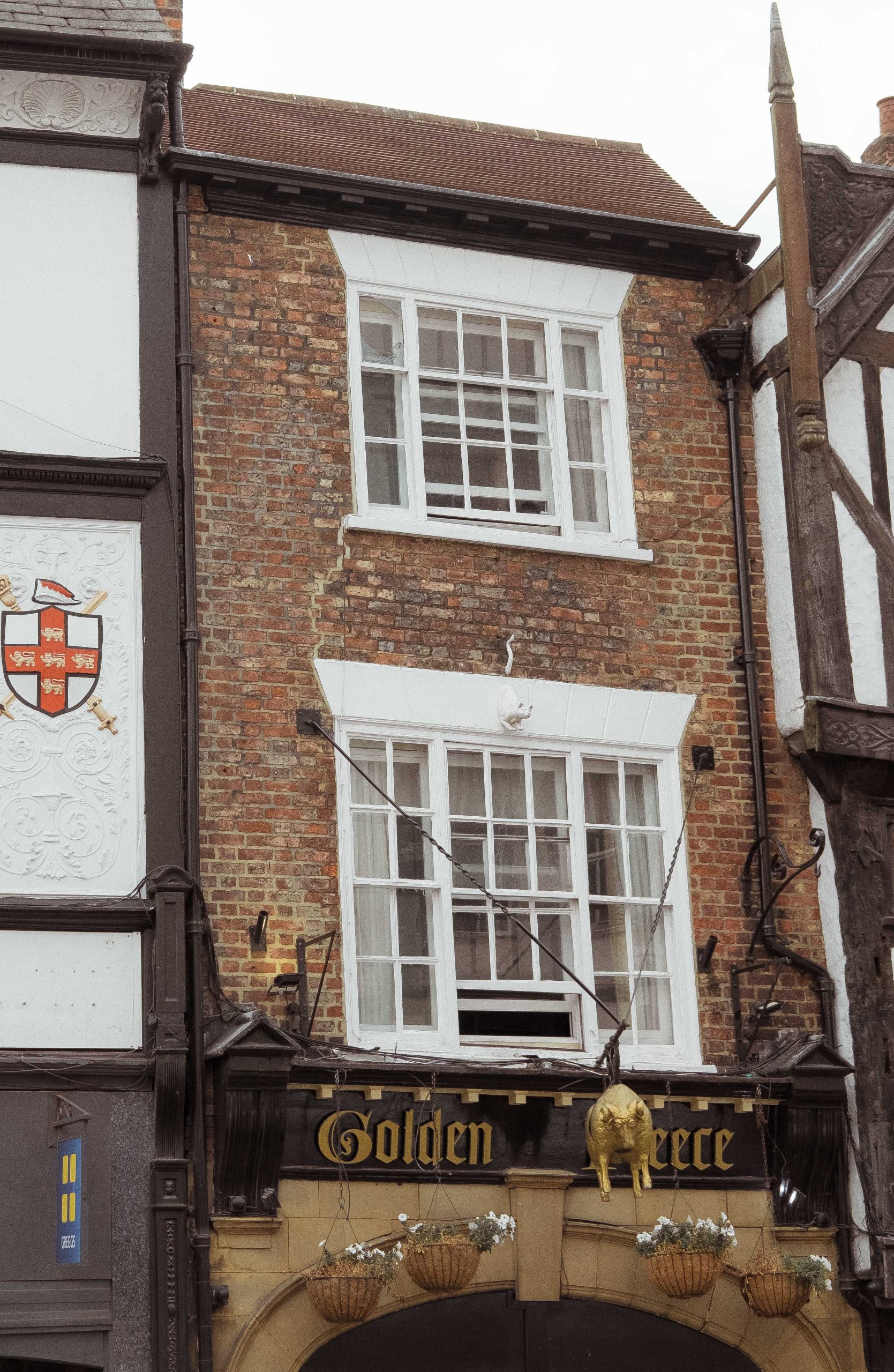 Spot the white cat above the pub Spot the white cat above the pub